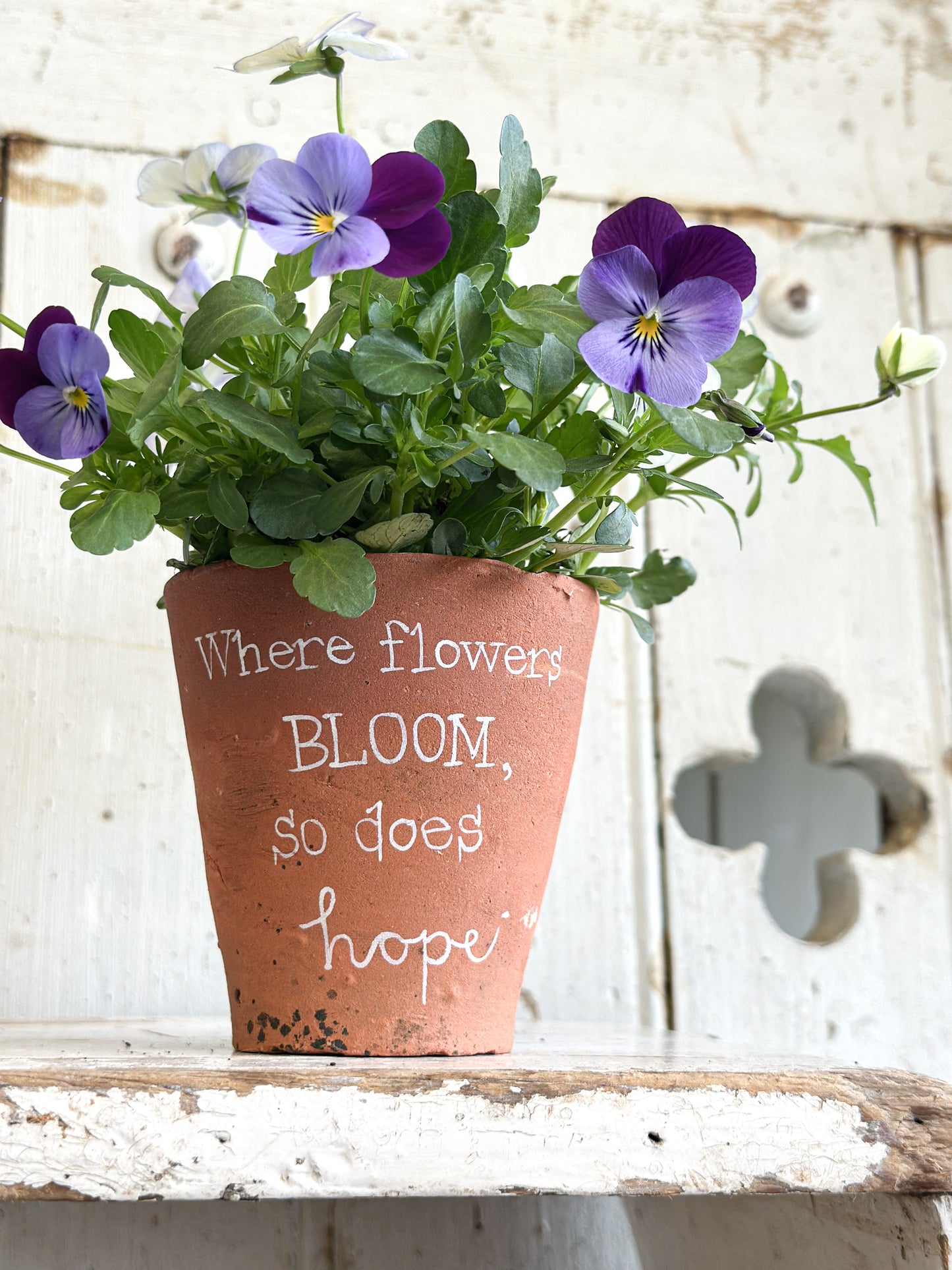 “Where Flowers Bloom” Terracotta Plant Pot