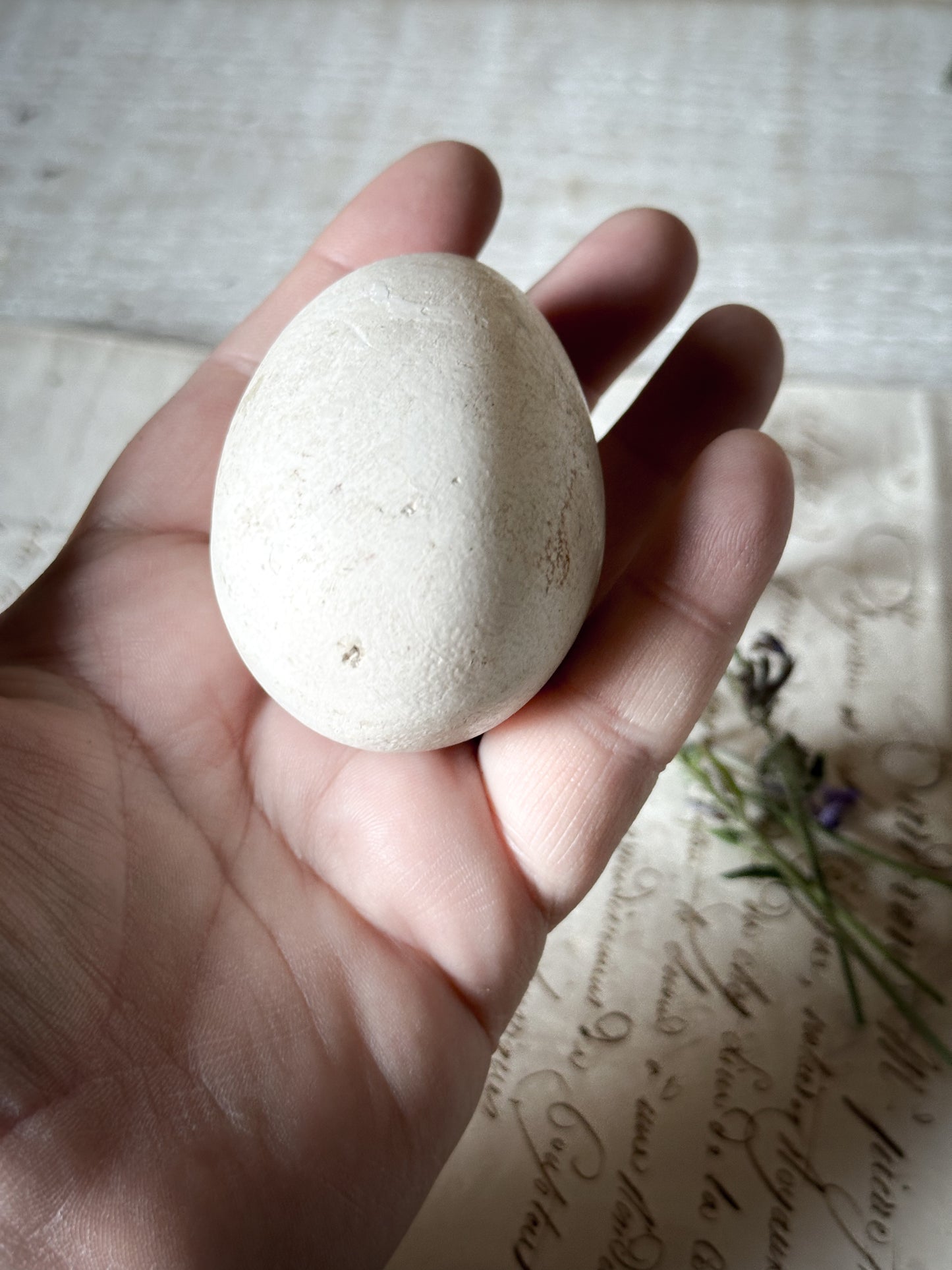 An original antique ceramic broody egg