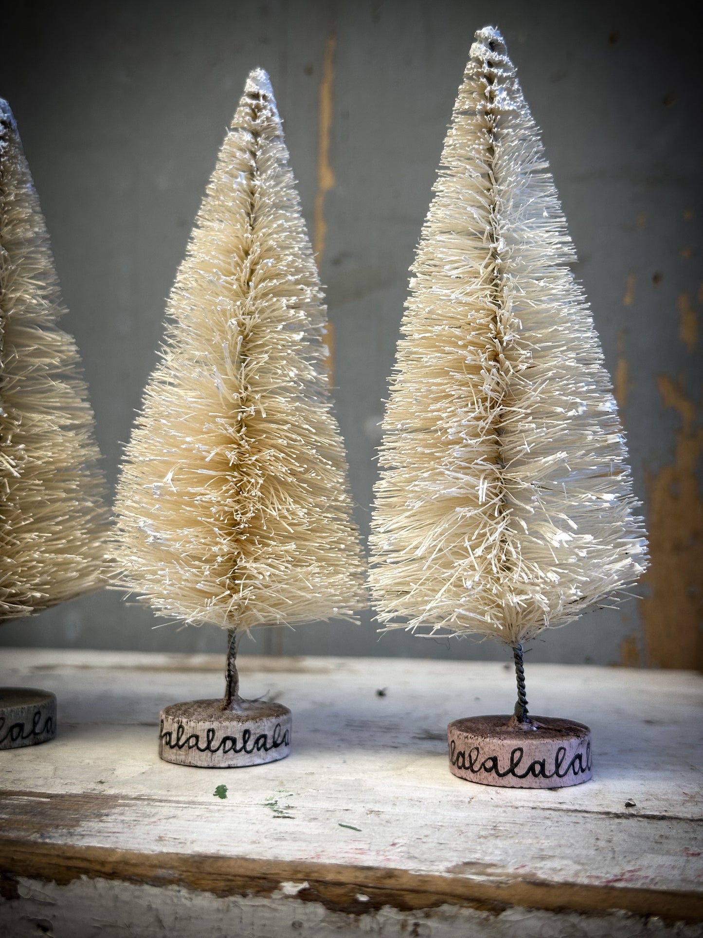 Tallest Painted Bottle Brush Tree “Falalalalalalala”