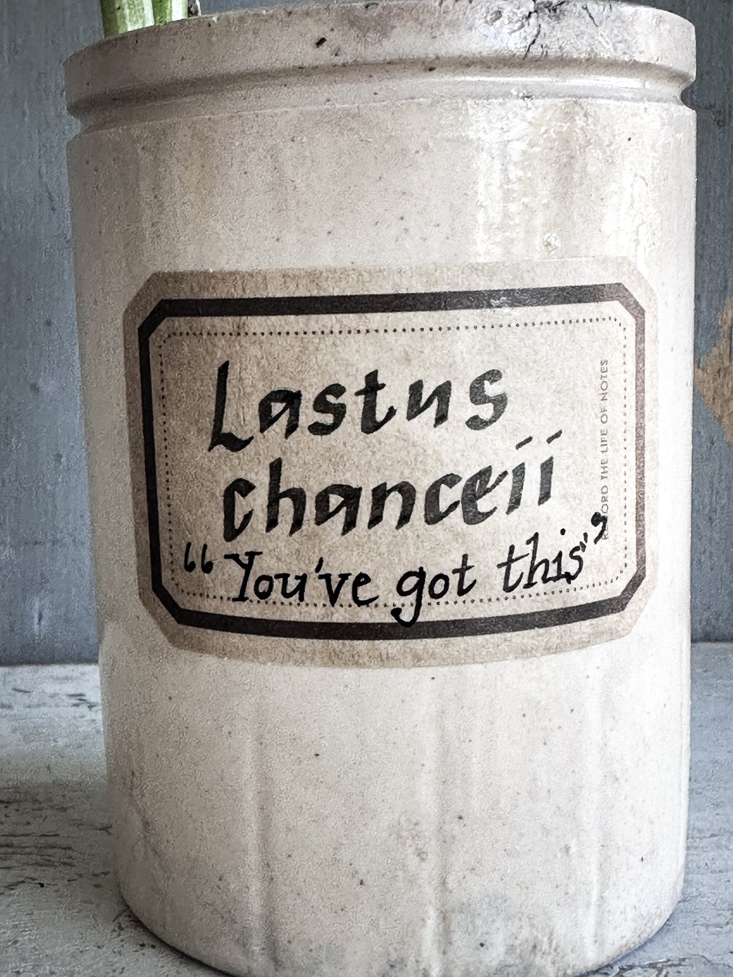 The Hopeful Gardener™ Specimen Pot “