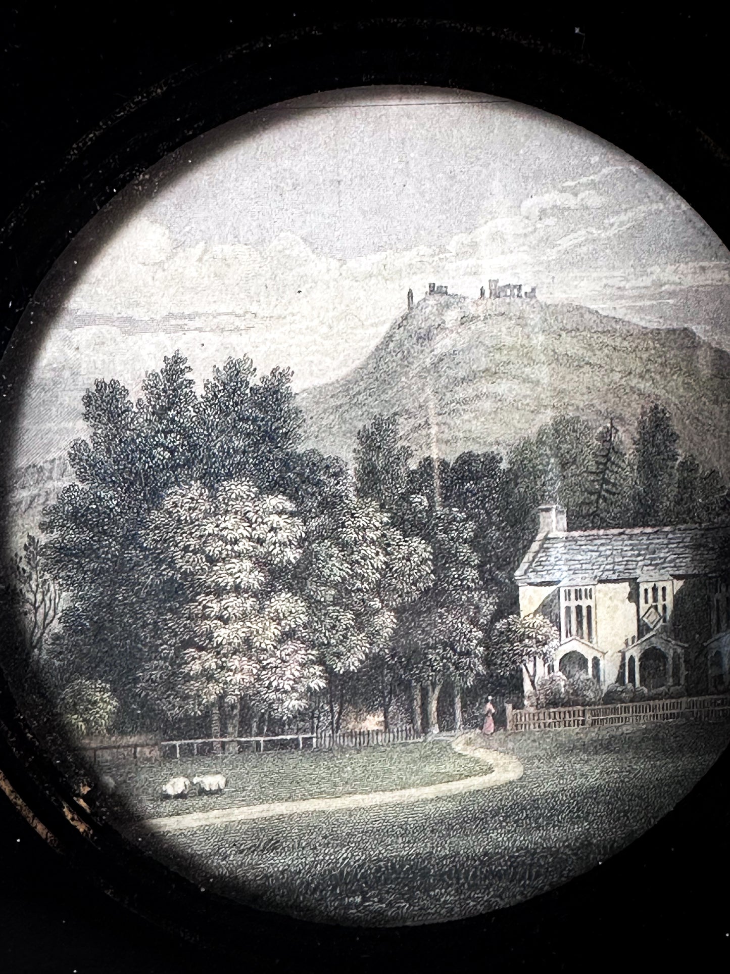 Antique Victorian Convex Glass Framed Topographical Print c.1880–1900