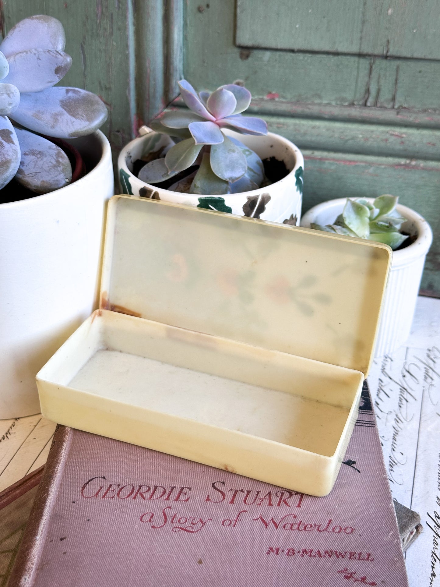 “Her Heart Was a Secret Garden” – Vintage Floral Painted Soap / Trinket Box