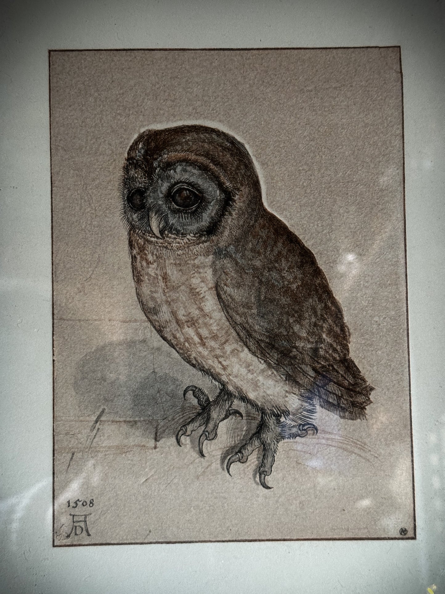 Vintage Framed Albrecht Durer Print of an owl
