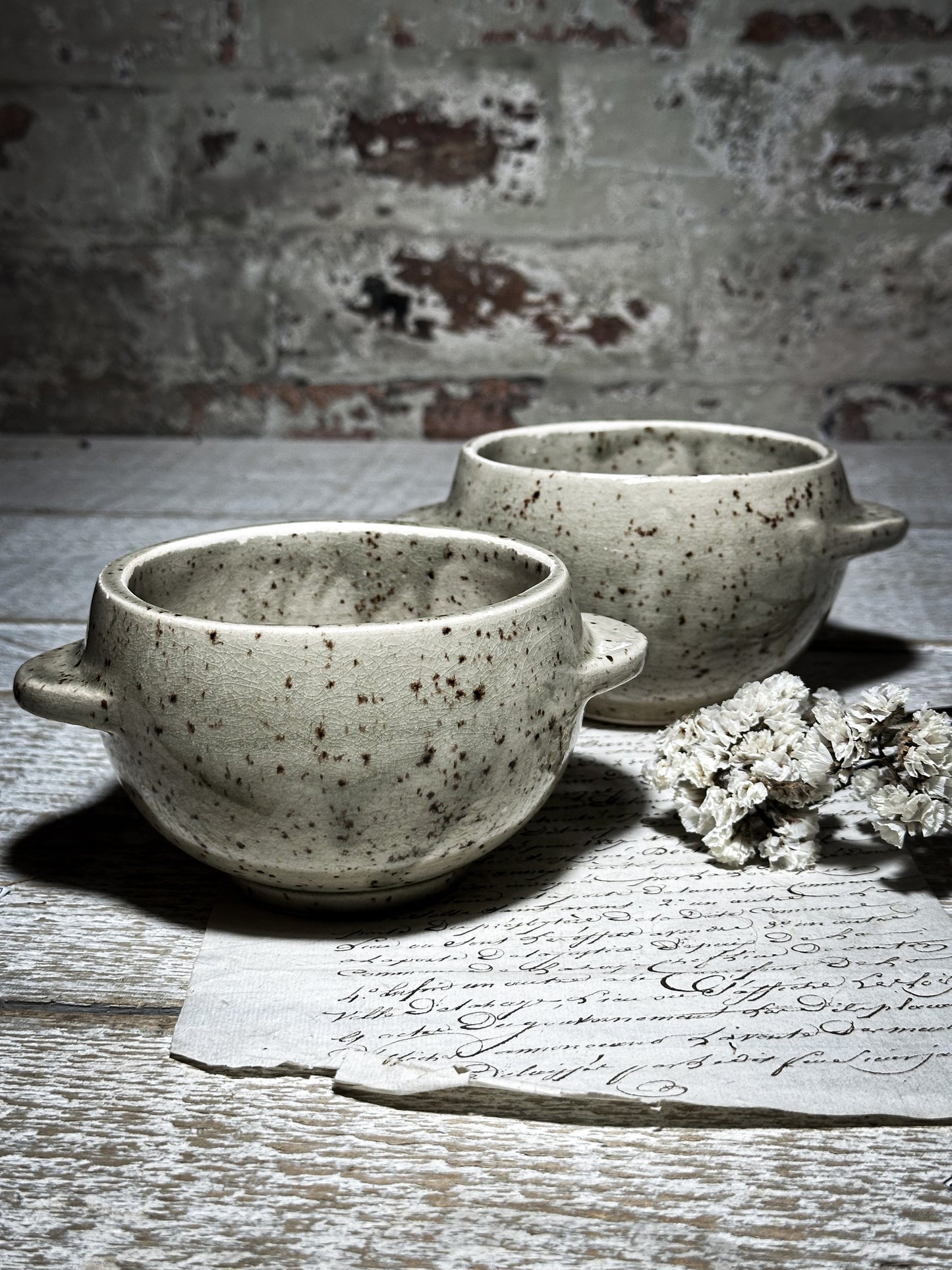 Vintage French Speckle Glazed Stoneware bowls