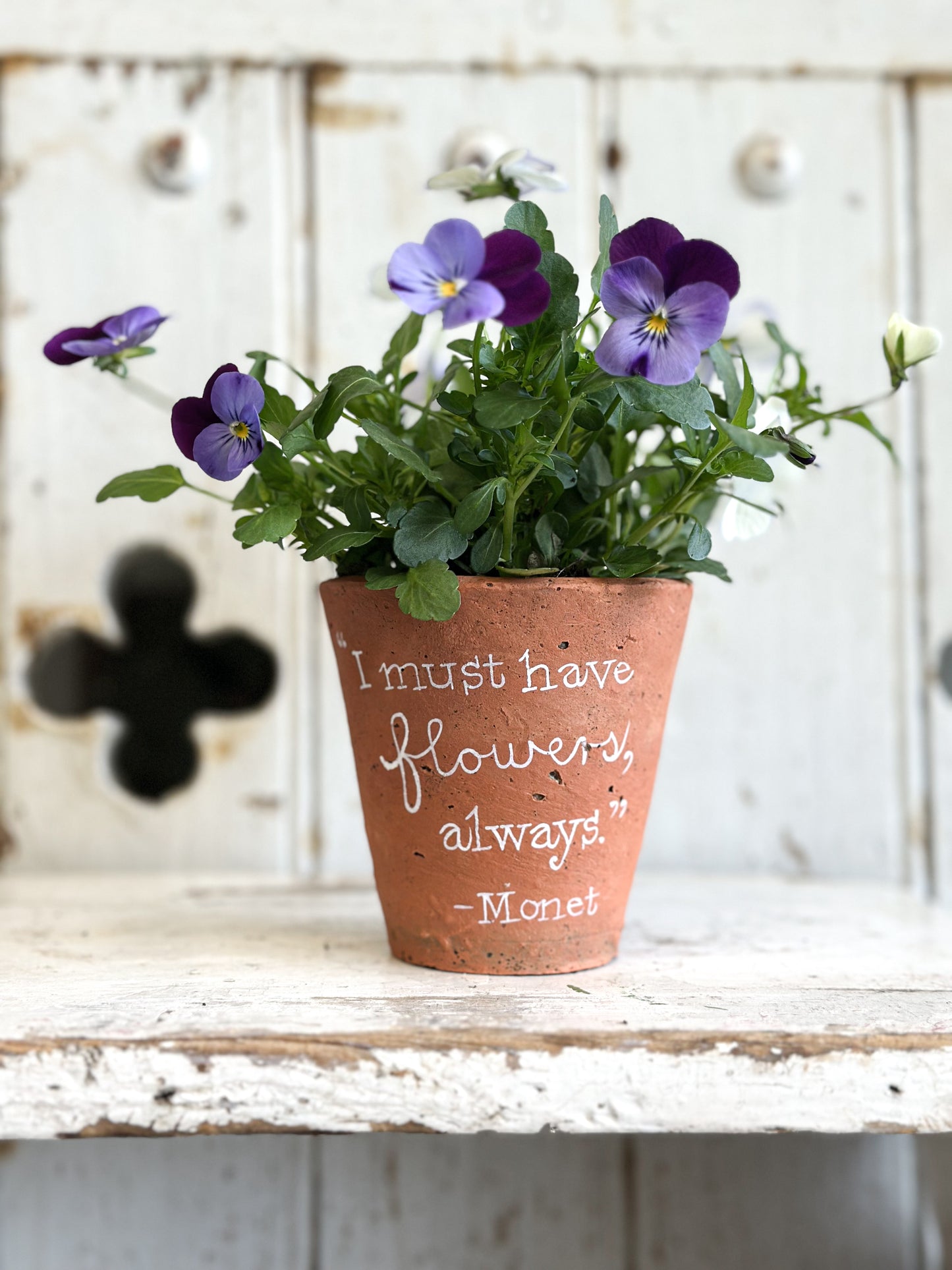 “I Must Have Flowers”  Terracotta Plant Pot