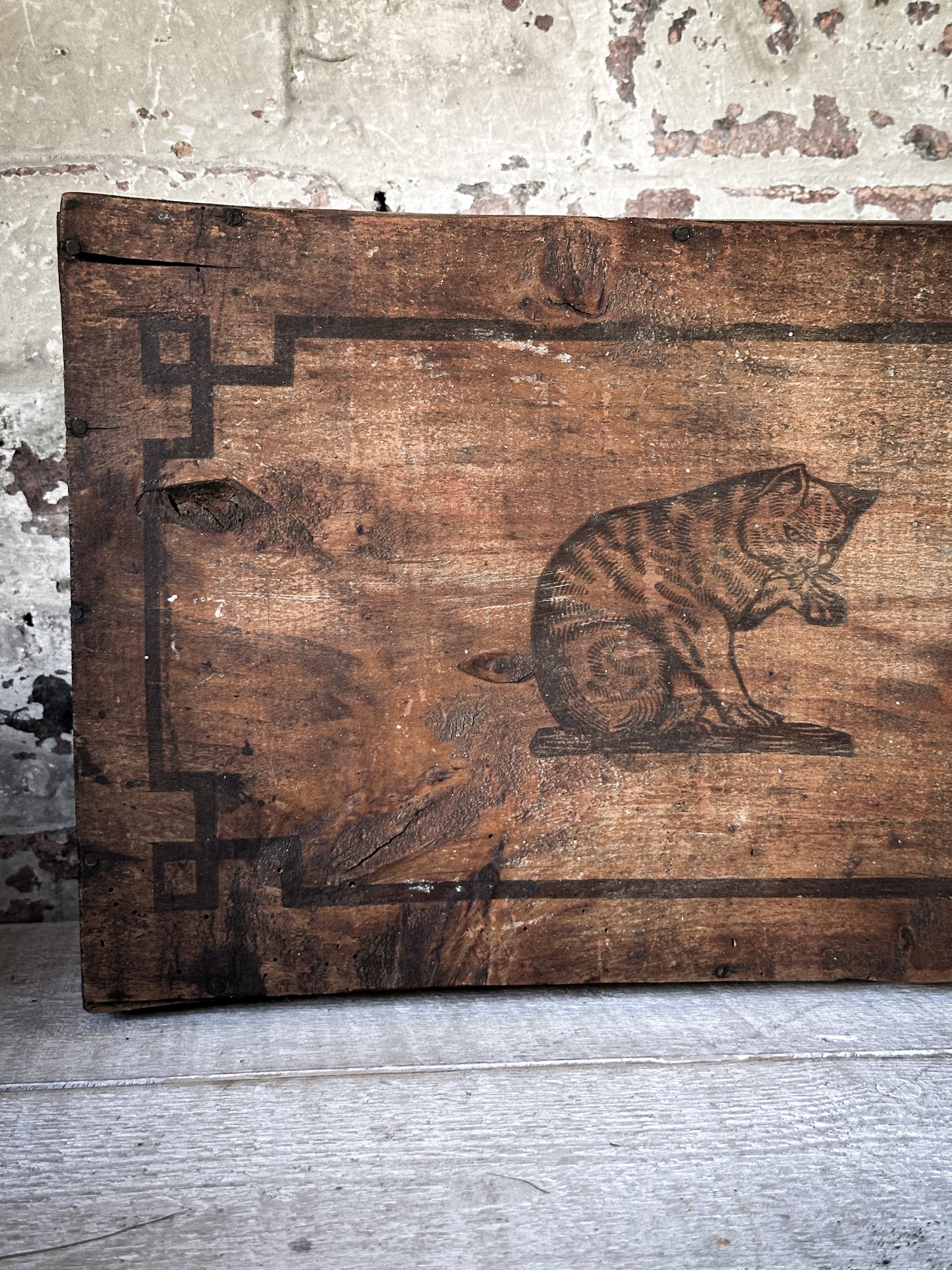 Amidon Au Chat Diplome D’ Honneur Shop Counter Box