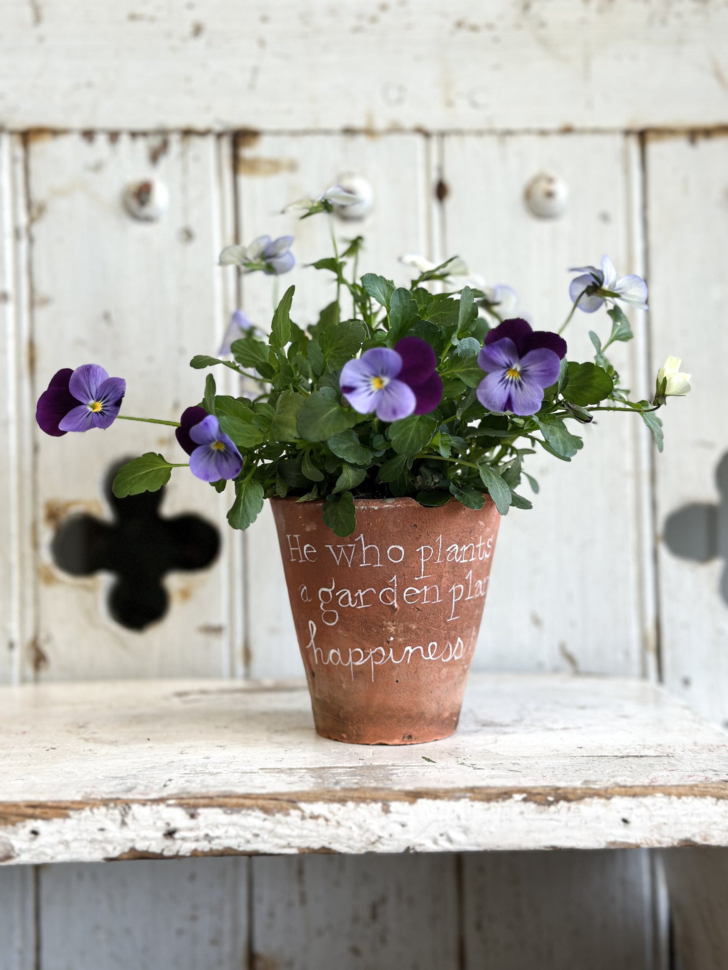 “He who plants a garden” Terracotta Plant Pot