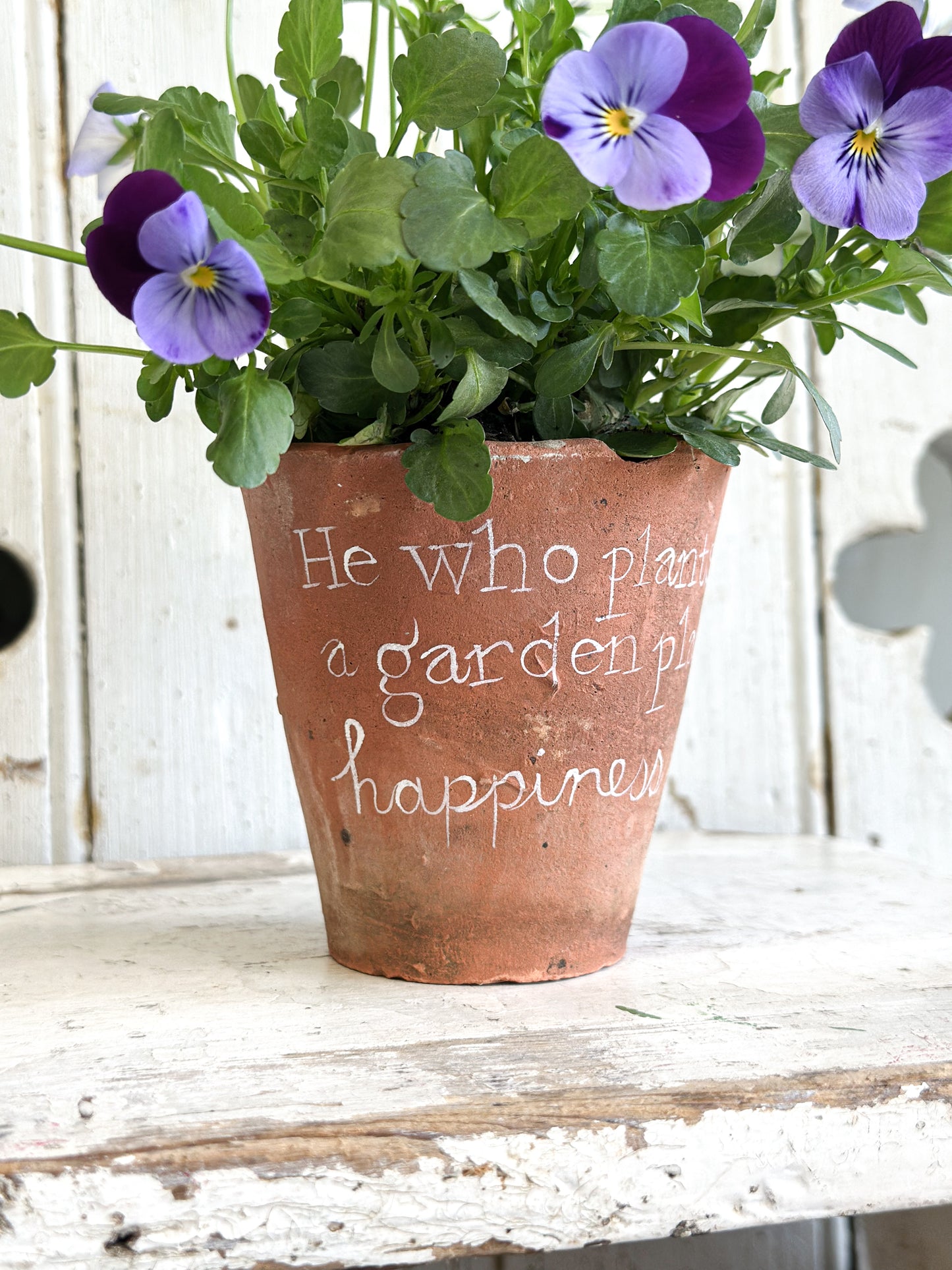 “He who plants a garden” Terracotta Plant Pot