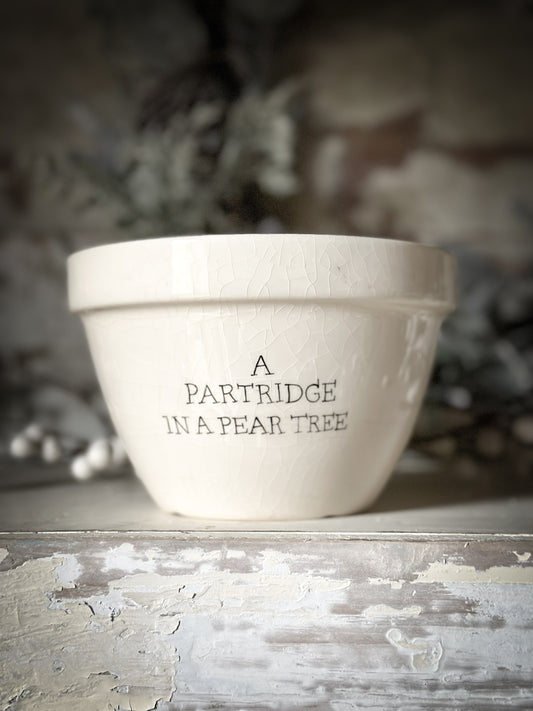 A beautiful vintage Illustrated Ironstone pudding bowl with a hand painted quote