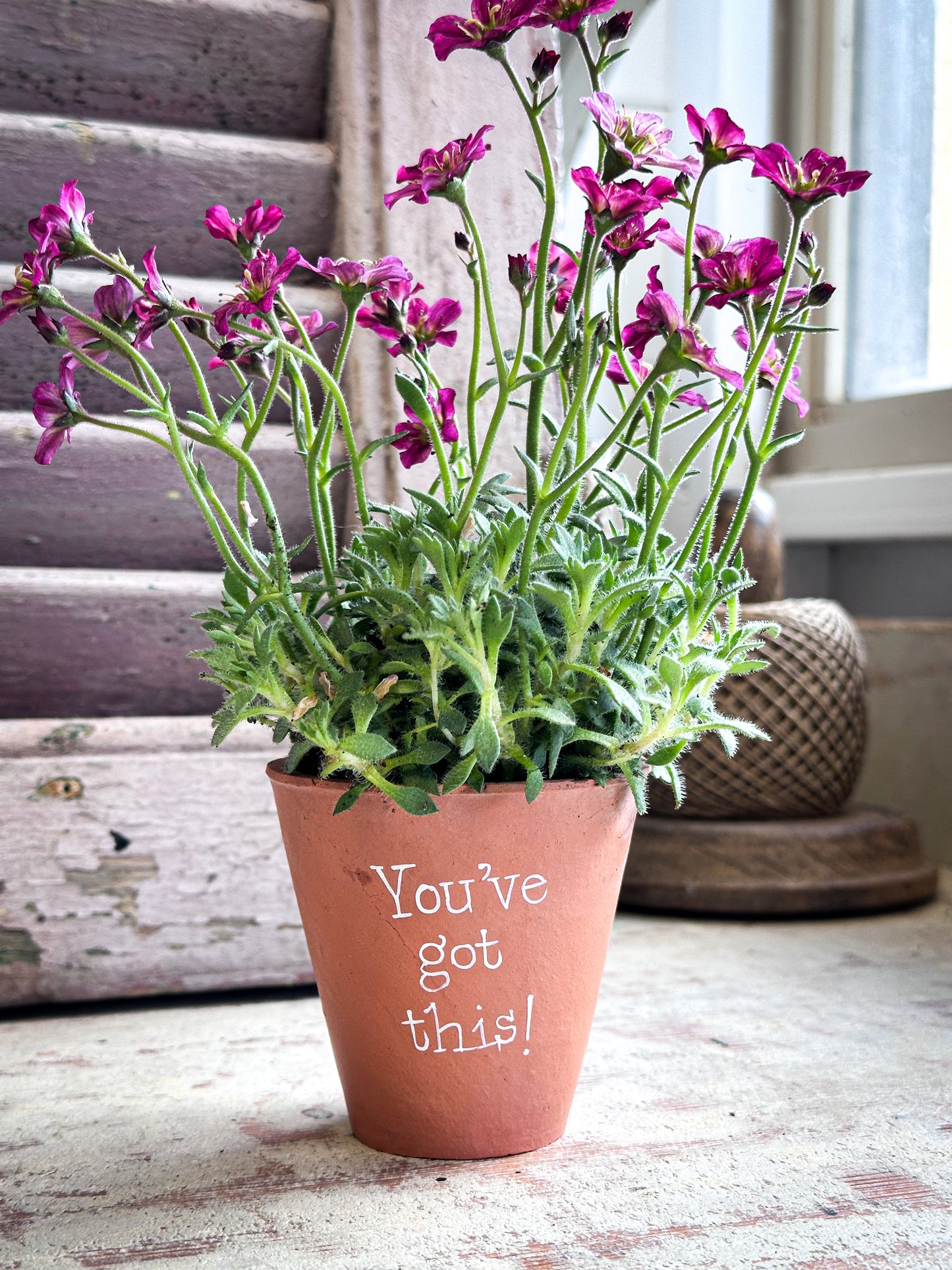 “You’ve Got This”  Mini Terracotta Plant Pot