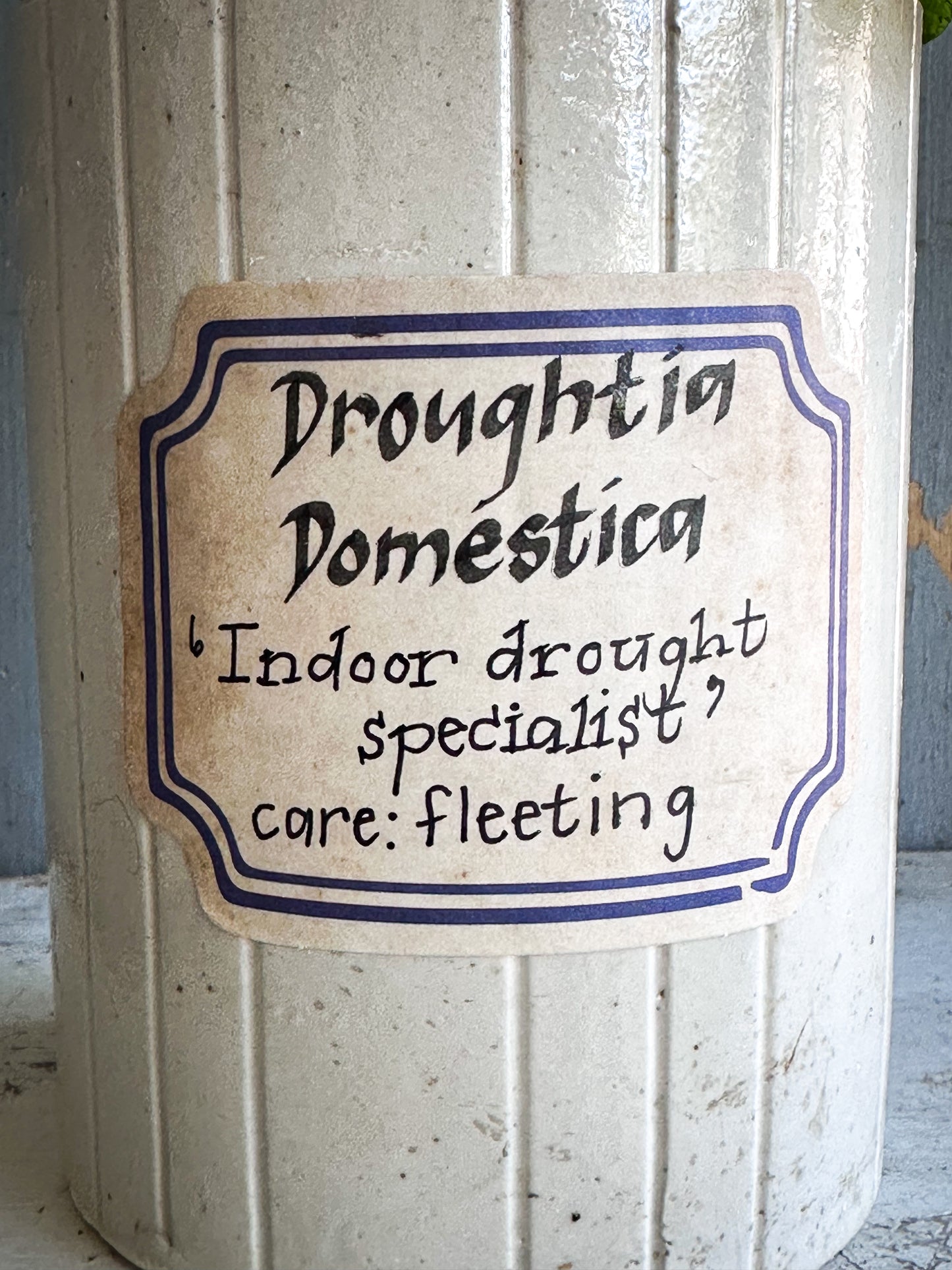 The Hopeful Gardener™ Specimen Pot “