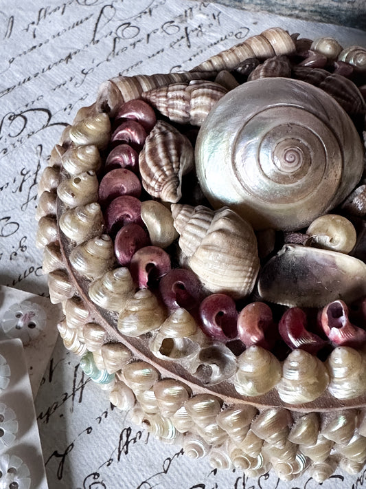 Antique Shell Art Jewellery Box – Decorative Coastal Trinket Box