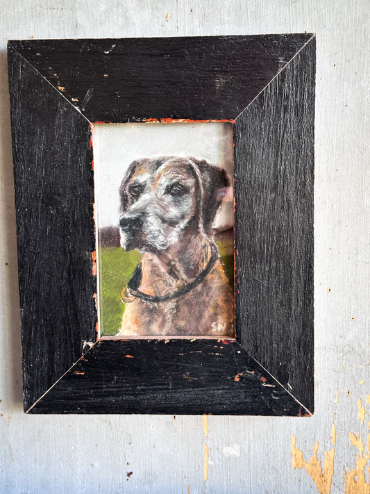 An original artwork by Steven Nicholas “New Tricks”