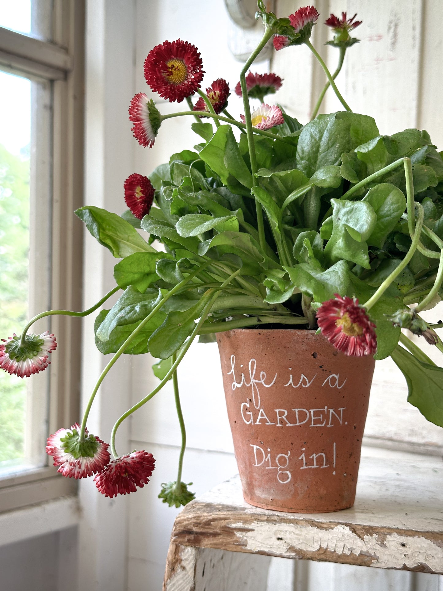 A Victorian terracotta pot with a quote “Life is a Garden”