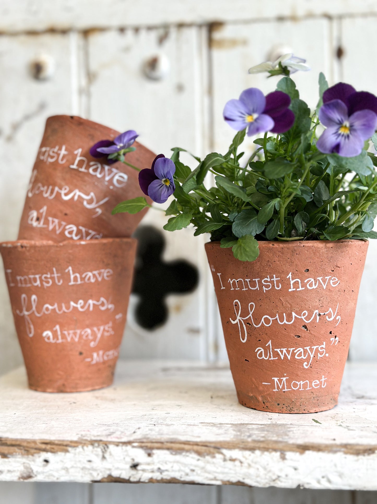 “I Must Have Flowers”  Terracotta Plant Pot