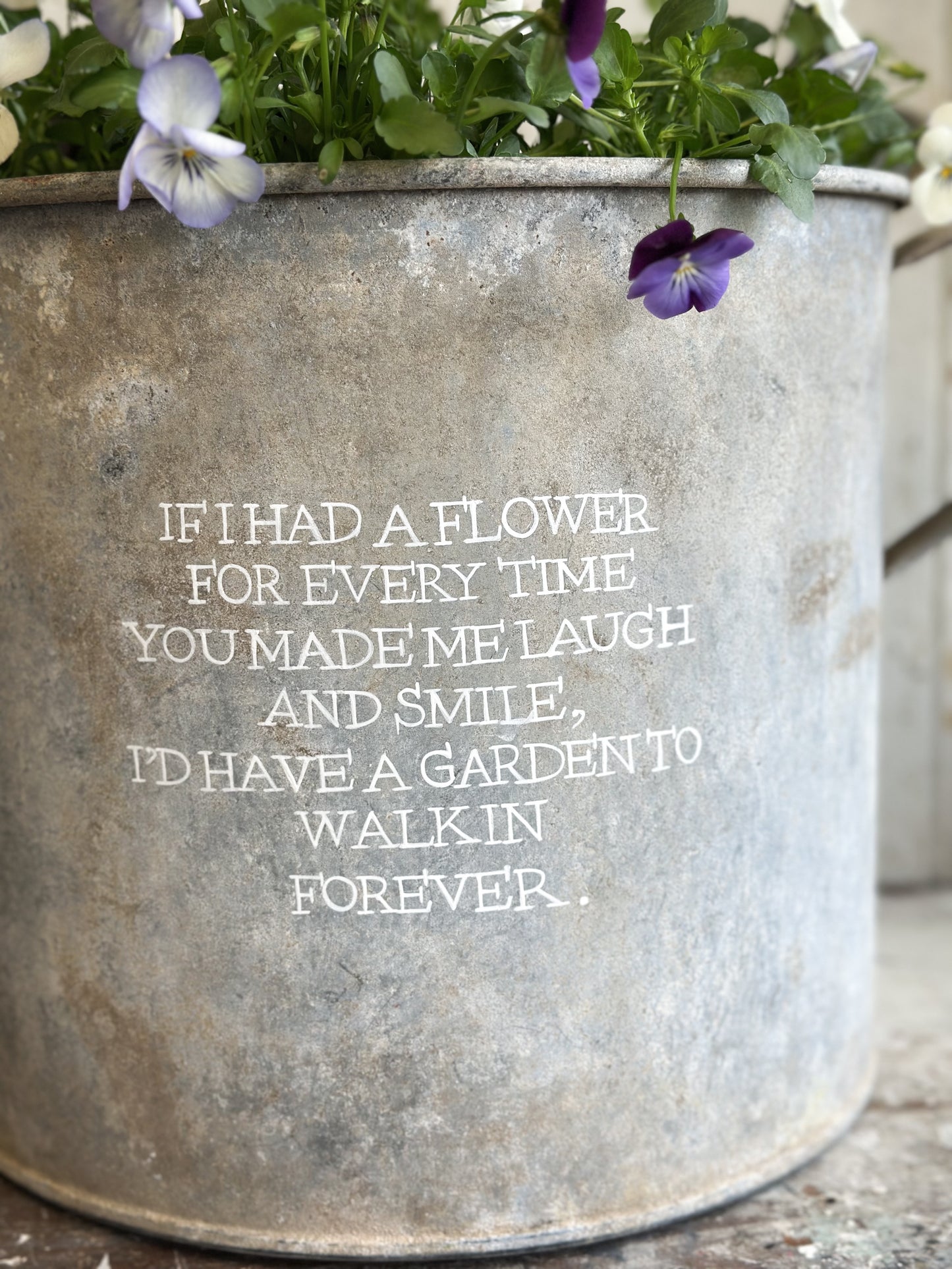 “If I had a Flower” Galvanised Garden Planter