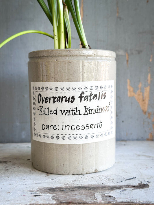 The Hopeful Gardener™ Specimen Pot