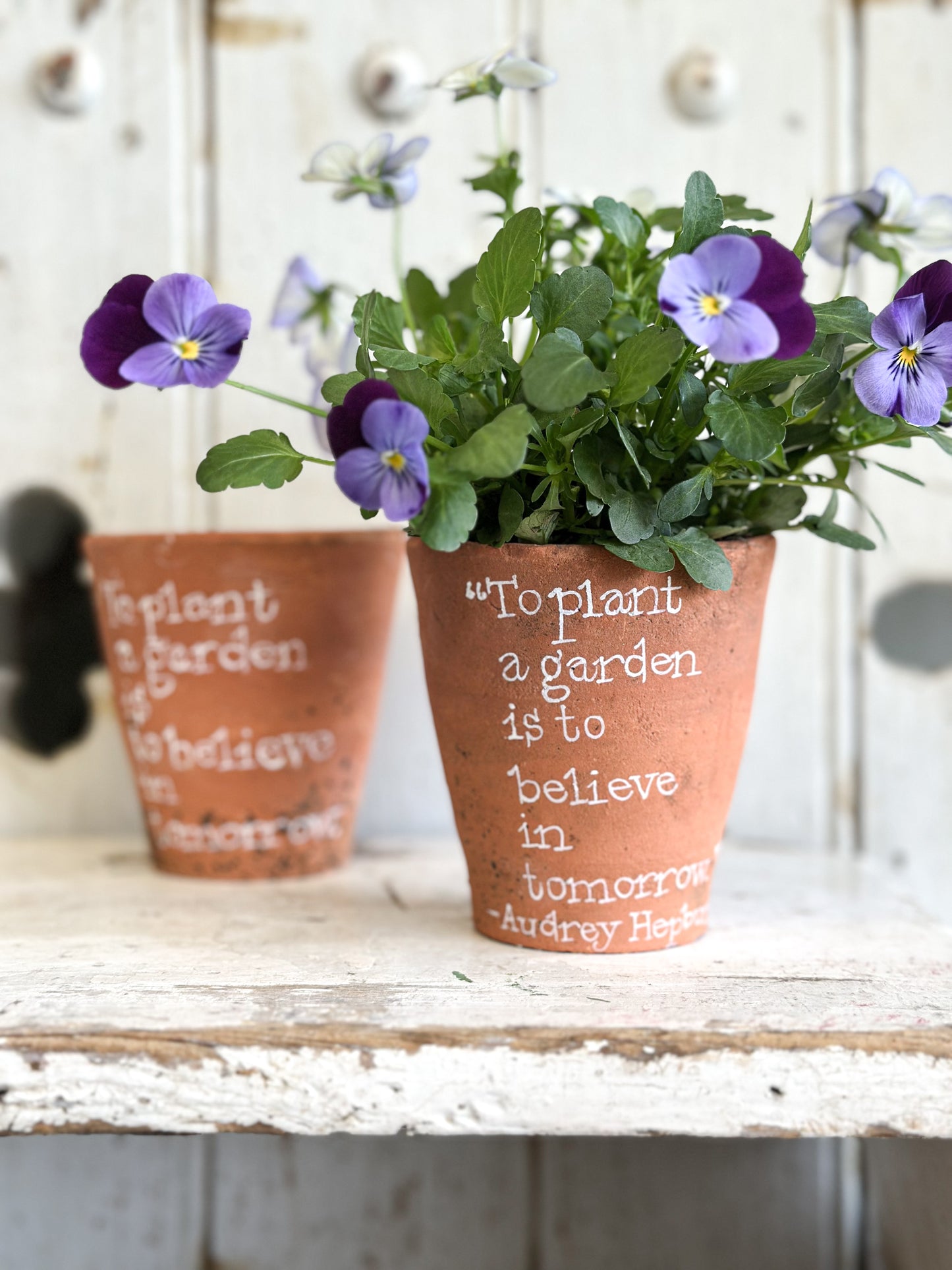 “To Plant a Garden” Terracotta Plant Pot