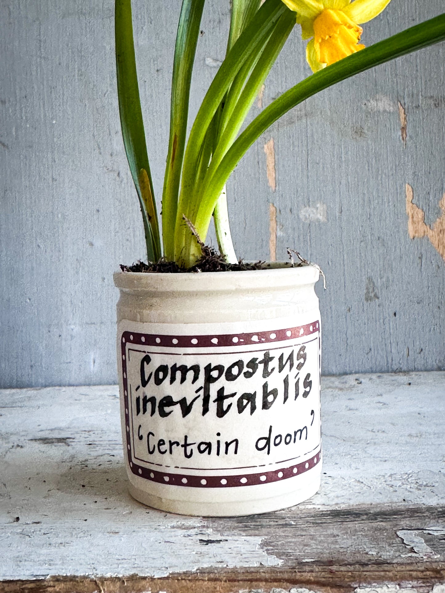 The Hopeful Gardener™ Specimen Pot
