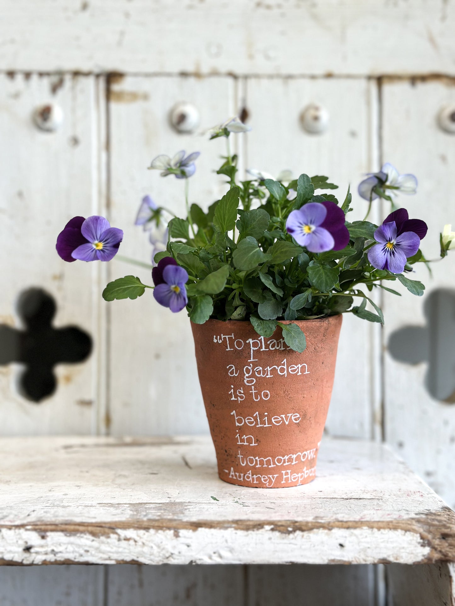 “To Plant a Garden” Terracotta Plant Pot