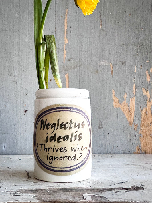 The Hopeful Gardener Specimen Pot