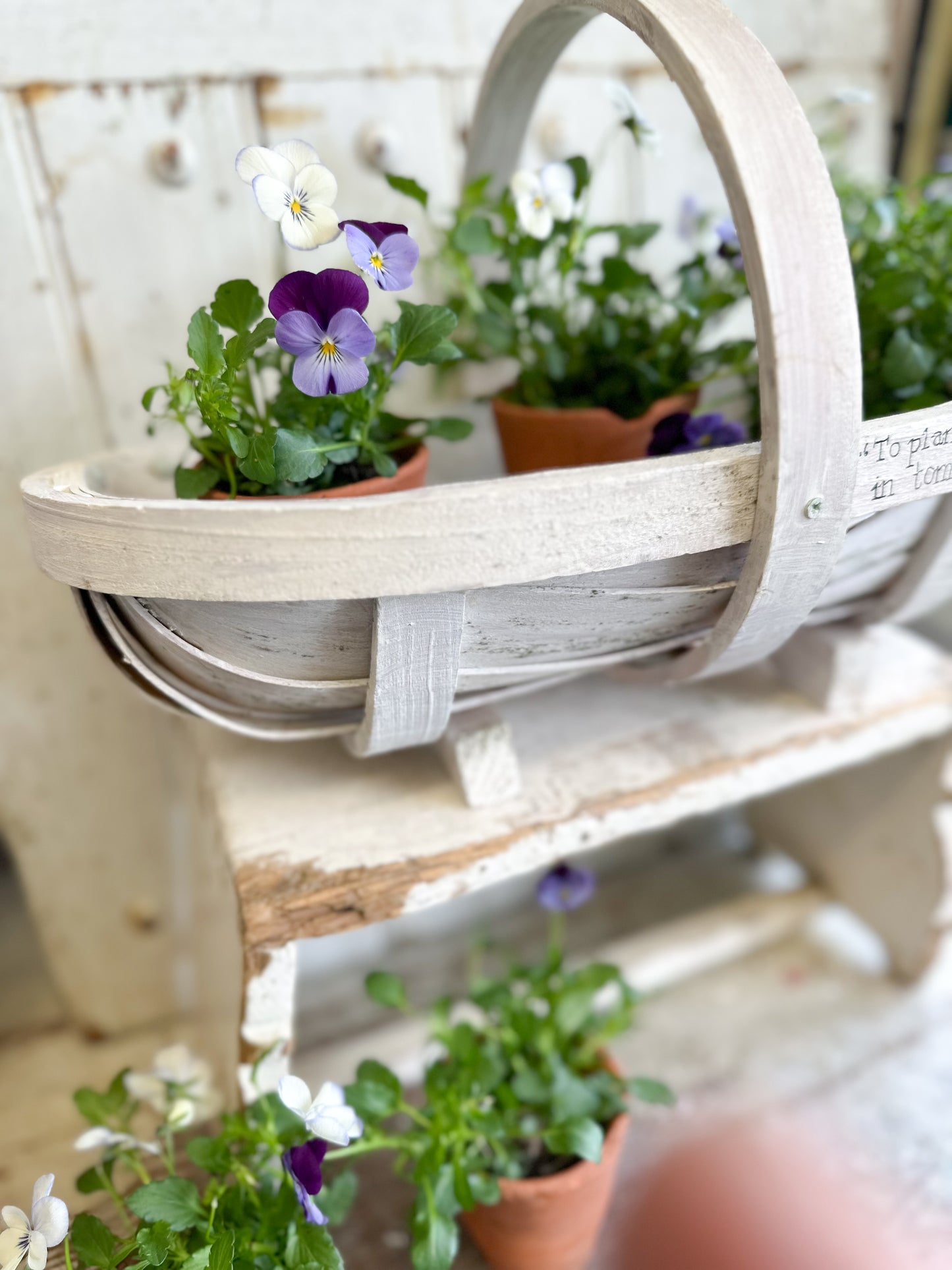 “To Plant a Garden” Hand Painted Sussex Trug