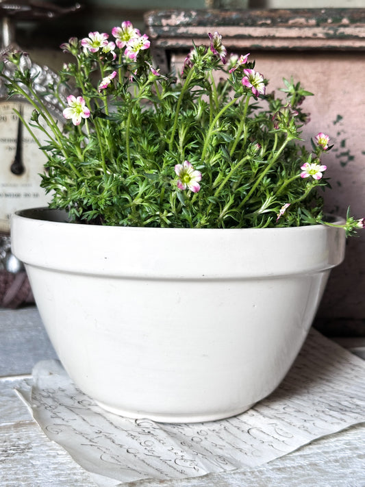 Vintage Large White Ceramic Pudding Bowl – English Country Farmhouse