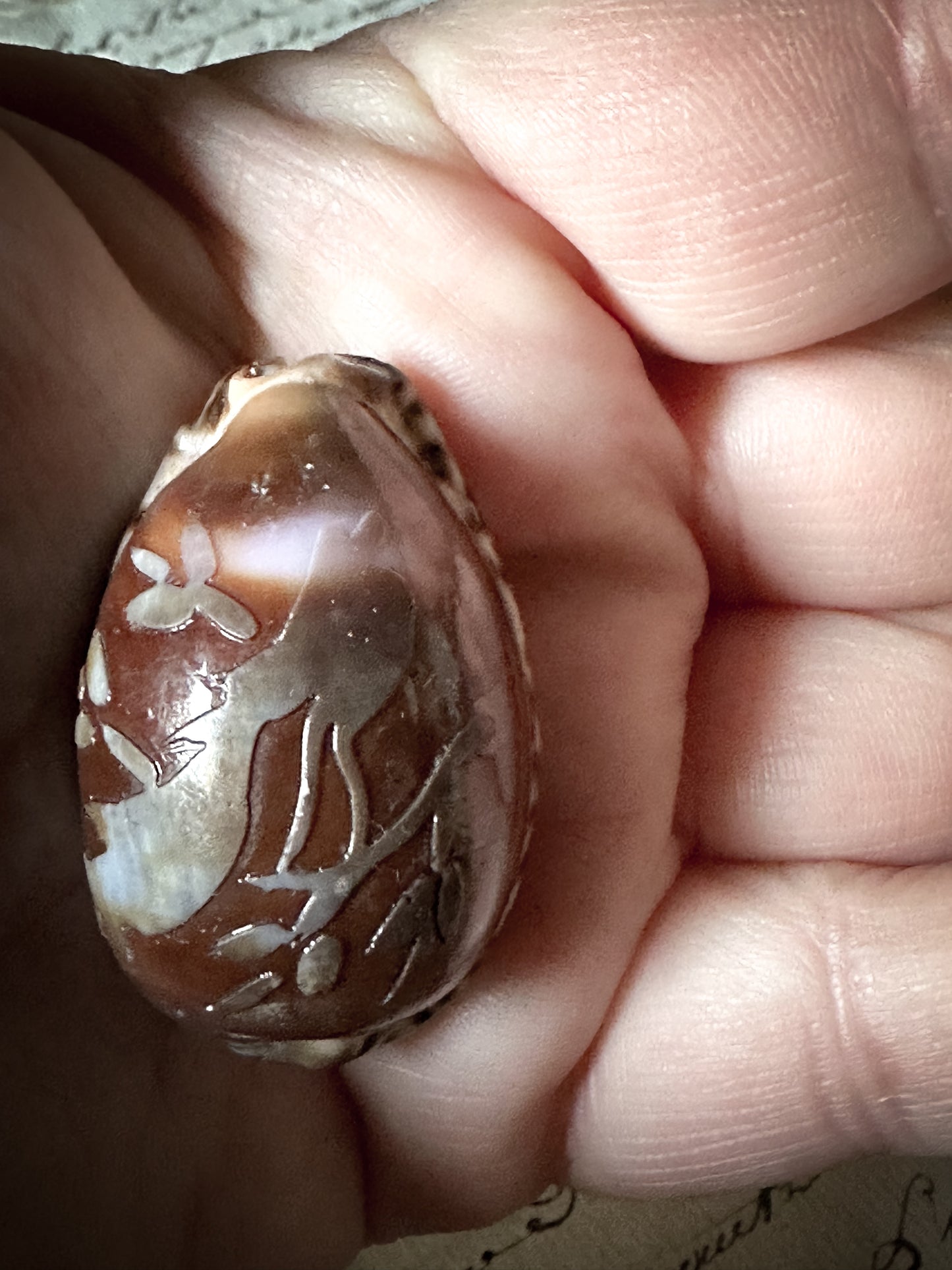 Vintage Carved Cowry Shell