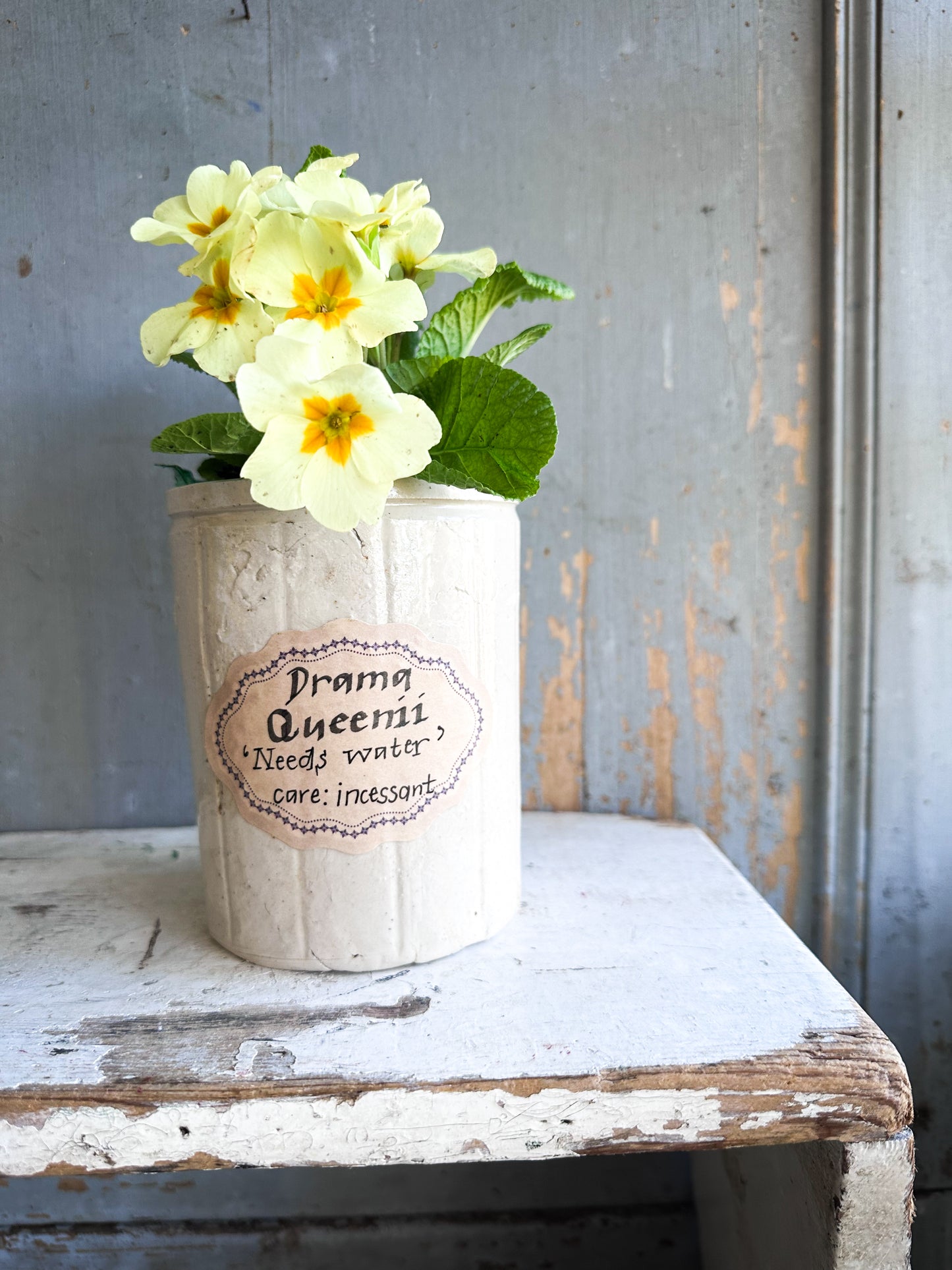 The Hopeful Gardener™ Specimen Pot