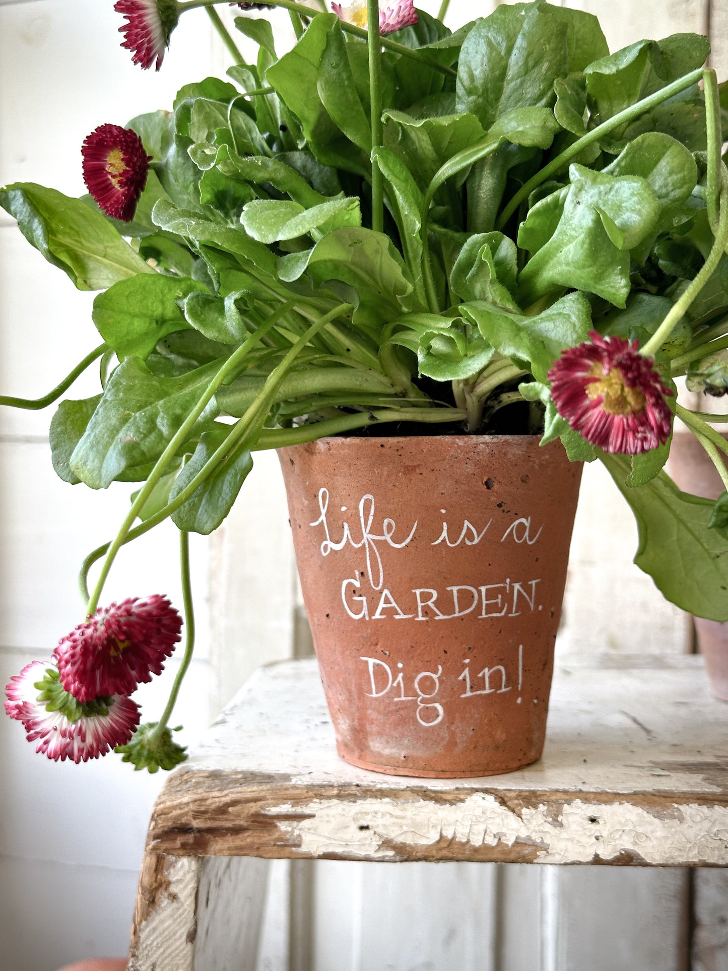 A Victorian terracotta pot with a quote “Life is a Garden”