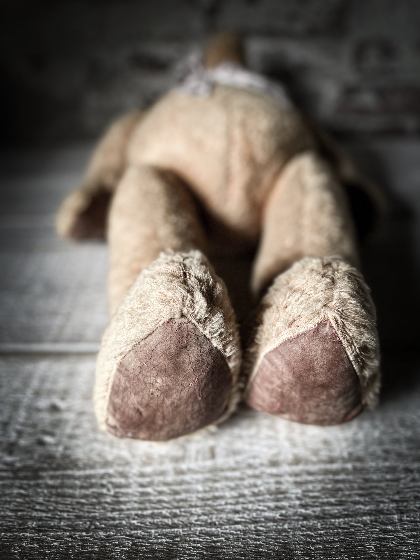 A lovely old large vintage teddy bear