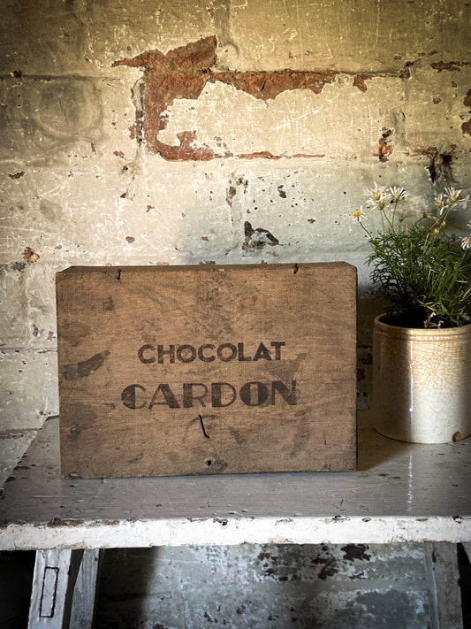 Chocolat Cardon Antique French Shop Counter box