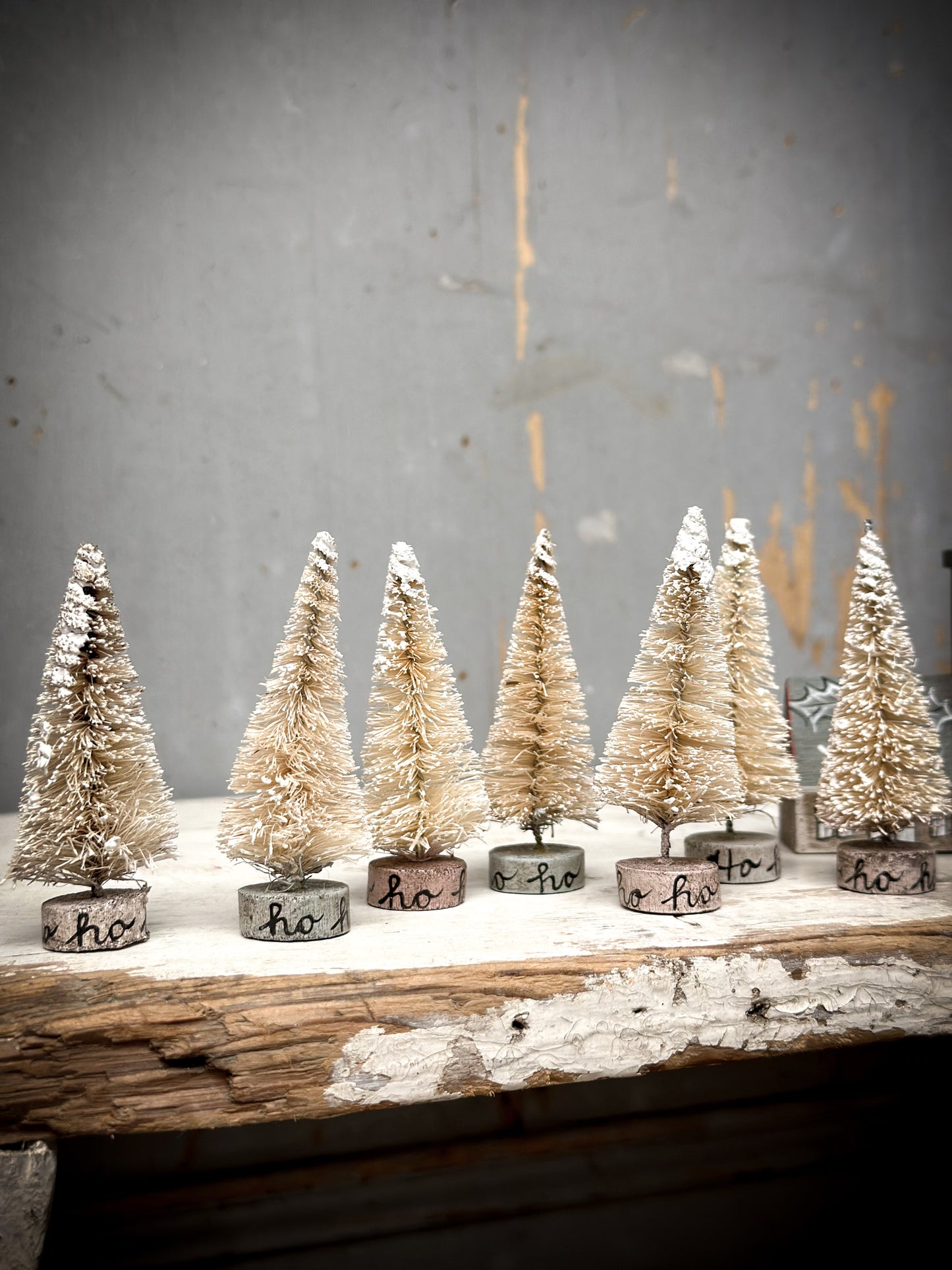 A Small Painted Bottle Brush Tree “Ho Ho Ho”