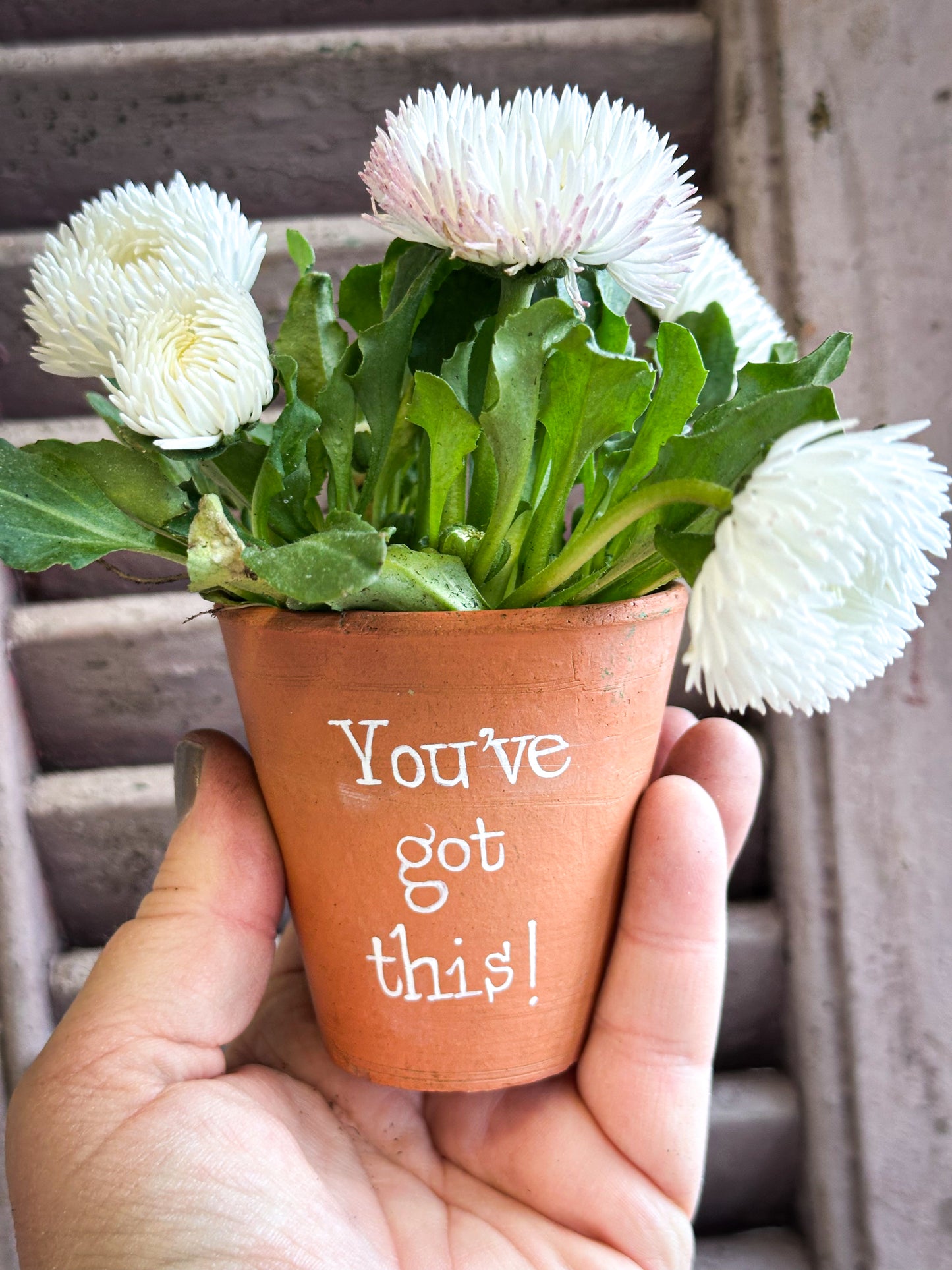 “You’ve Got This”  Mini Terracotta Plant Pot