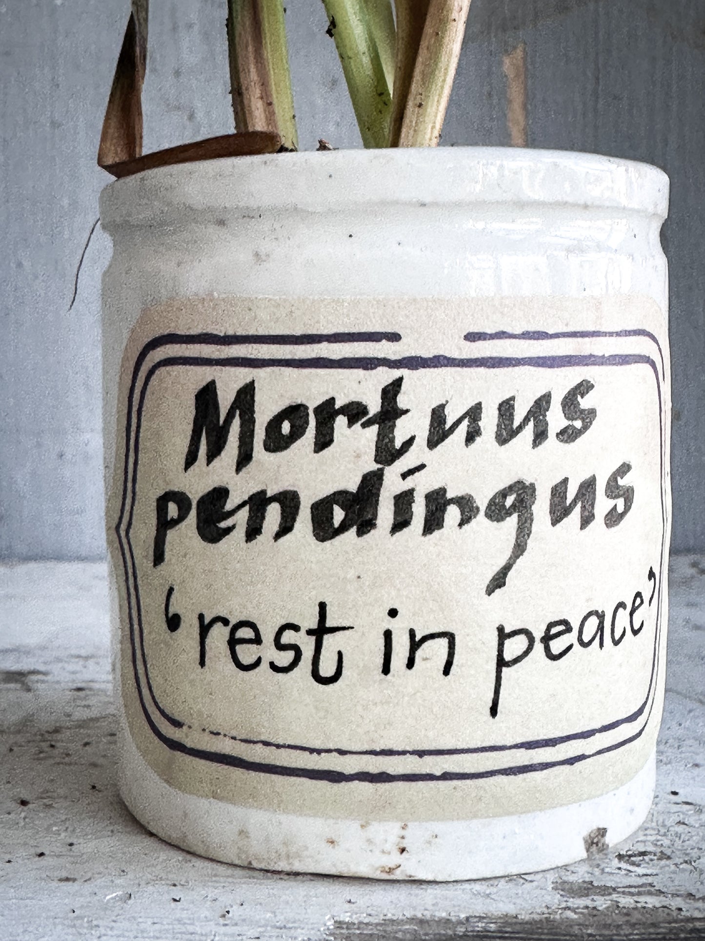 The Hopeful Gardener Specimen Pot