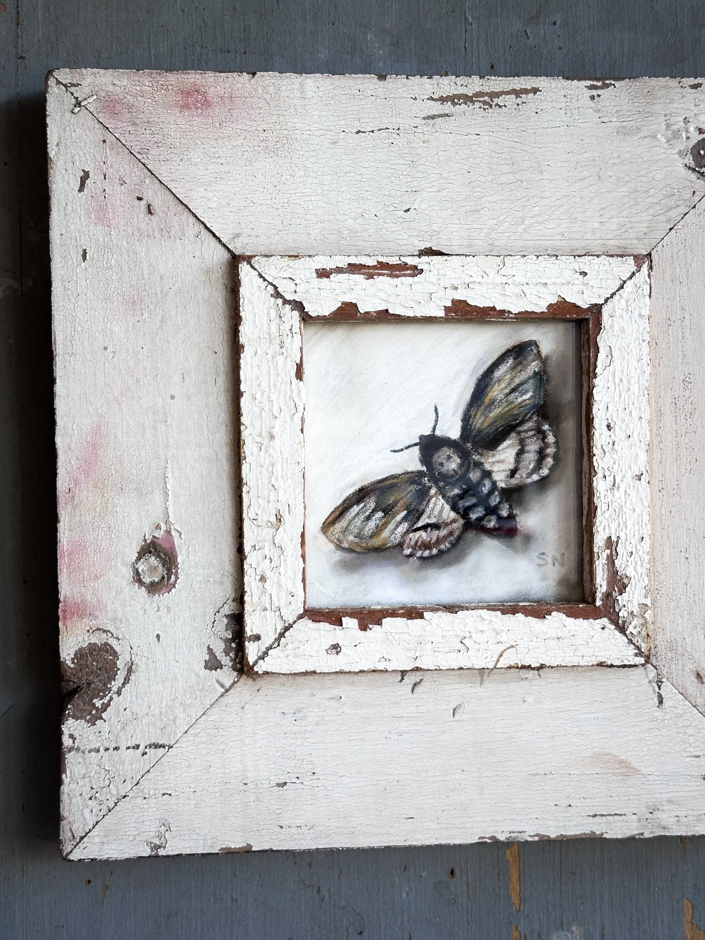 An original artwork by Steven Nicholas “Death’s Head Hawkmoth”