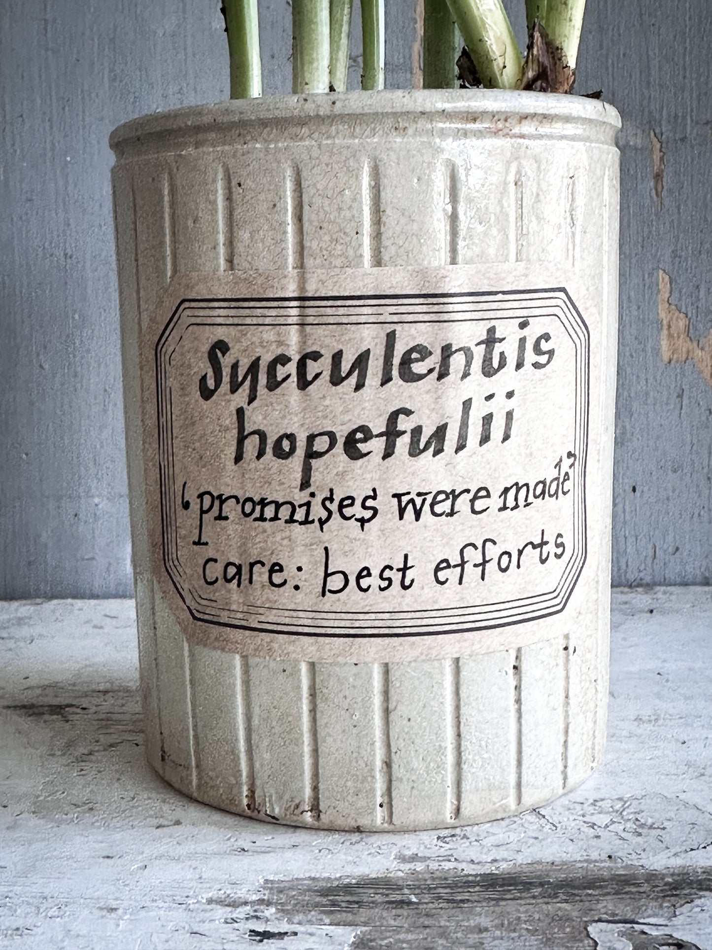 The Hopeful Gardener™ Specimen Pot