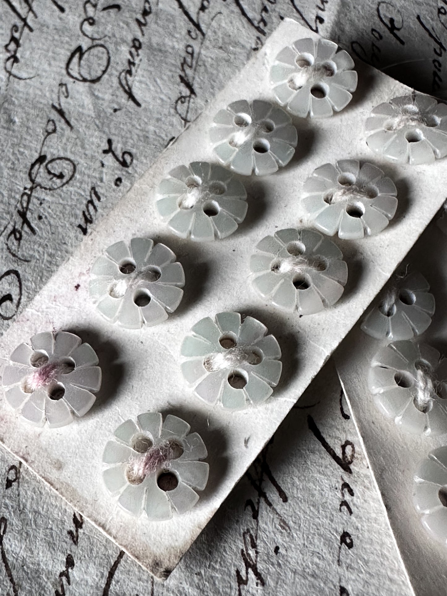 Victorian Mother of Pearl Flower Buttons – Deadstock Set of 10