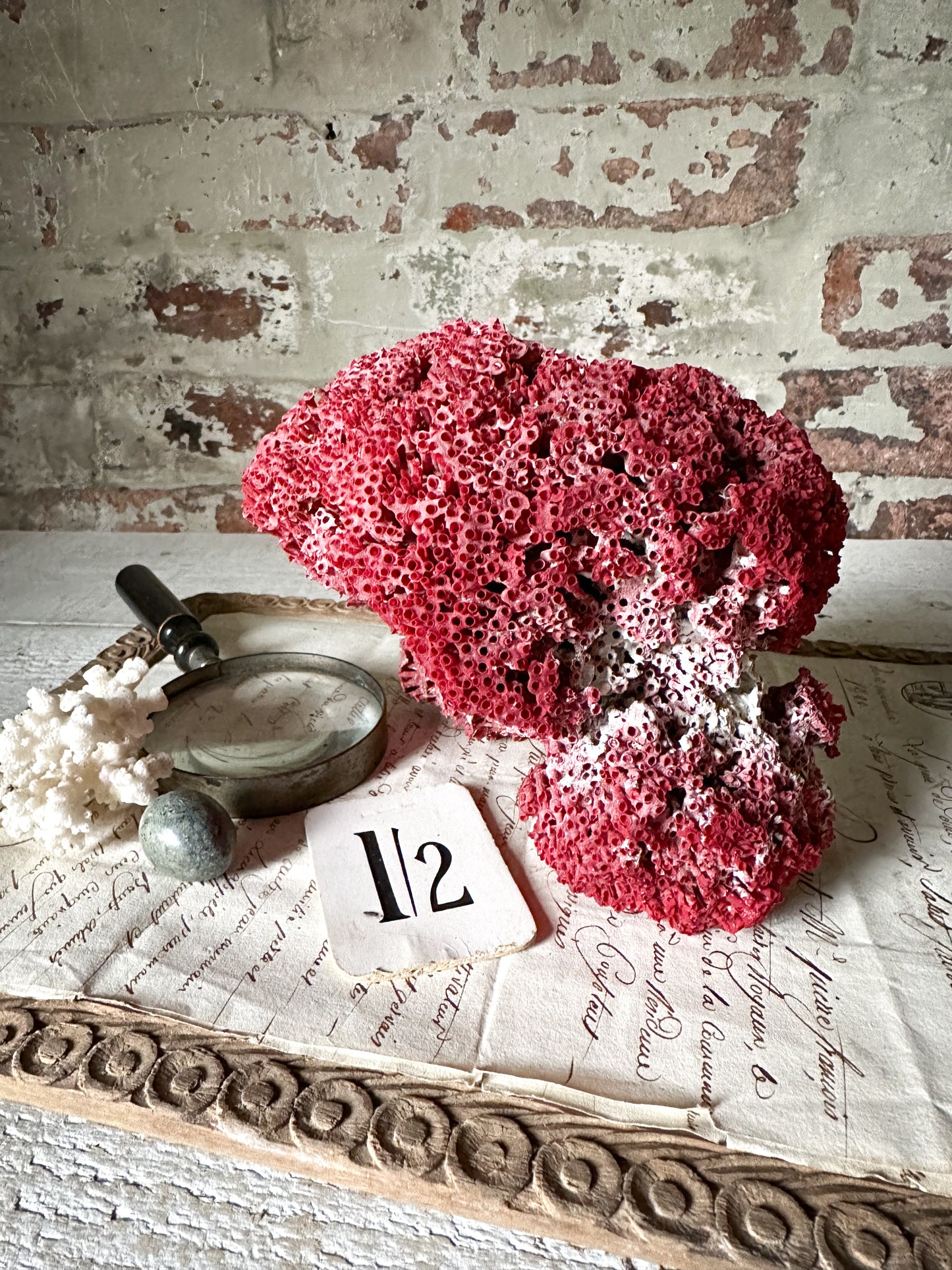 A beautiful large rare piece of natural sea coral in dark pink