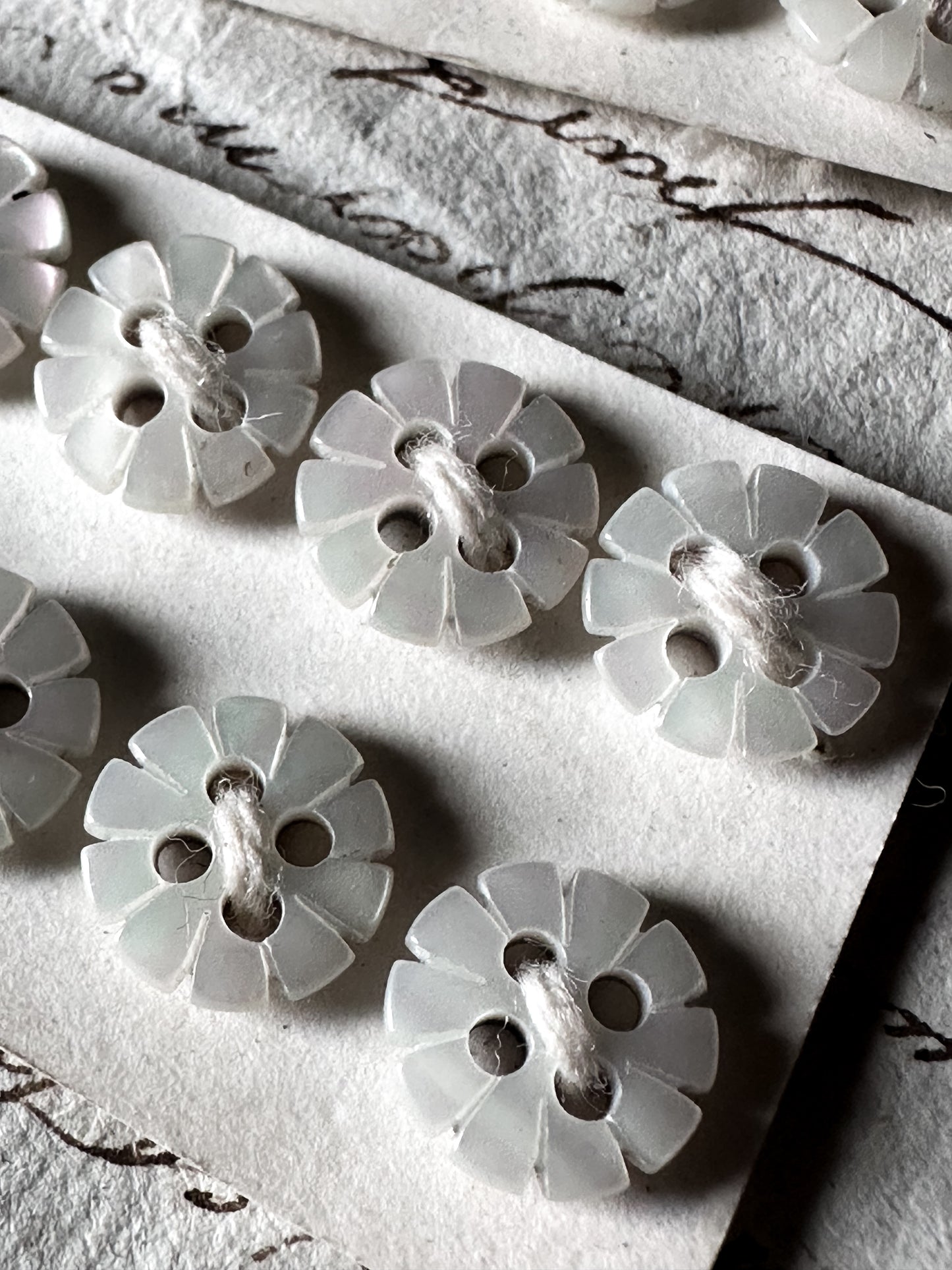 Victorian Mother of Pearl Flower Buttons – Deadstock Set of 10