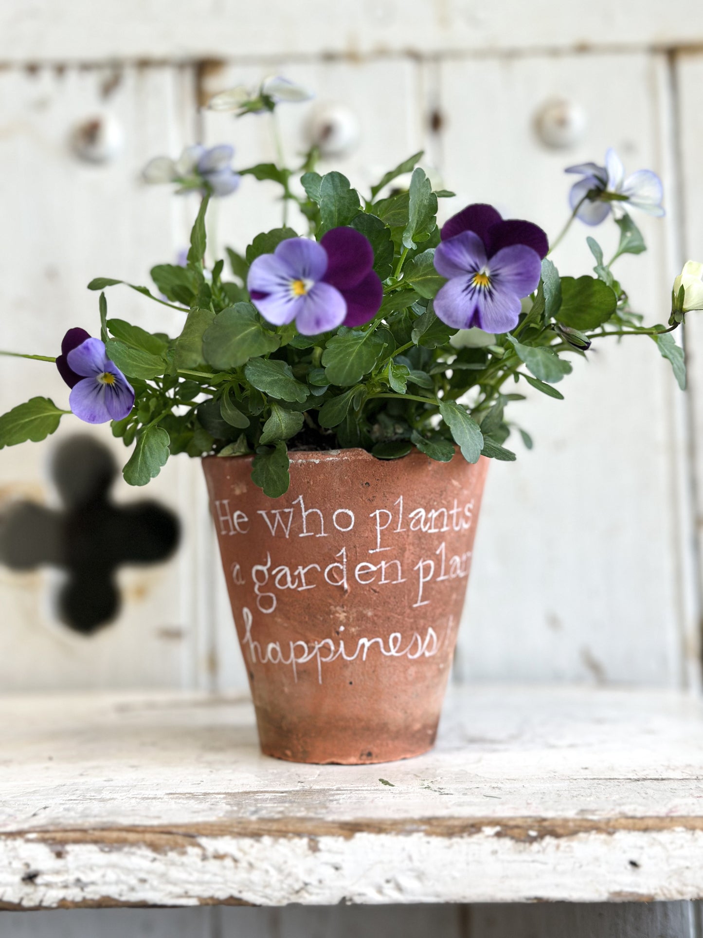 “He who plants a garden” Terracotta Plant Pot