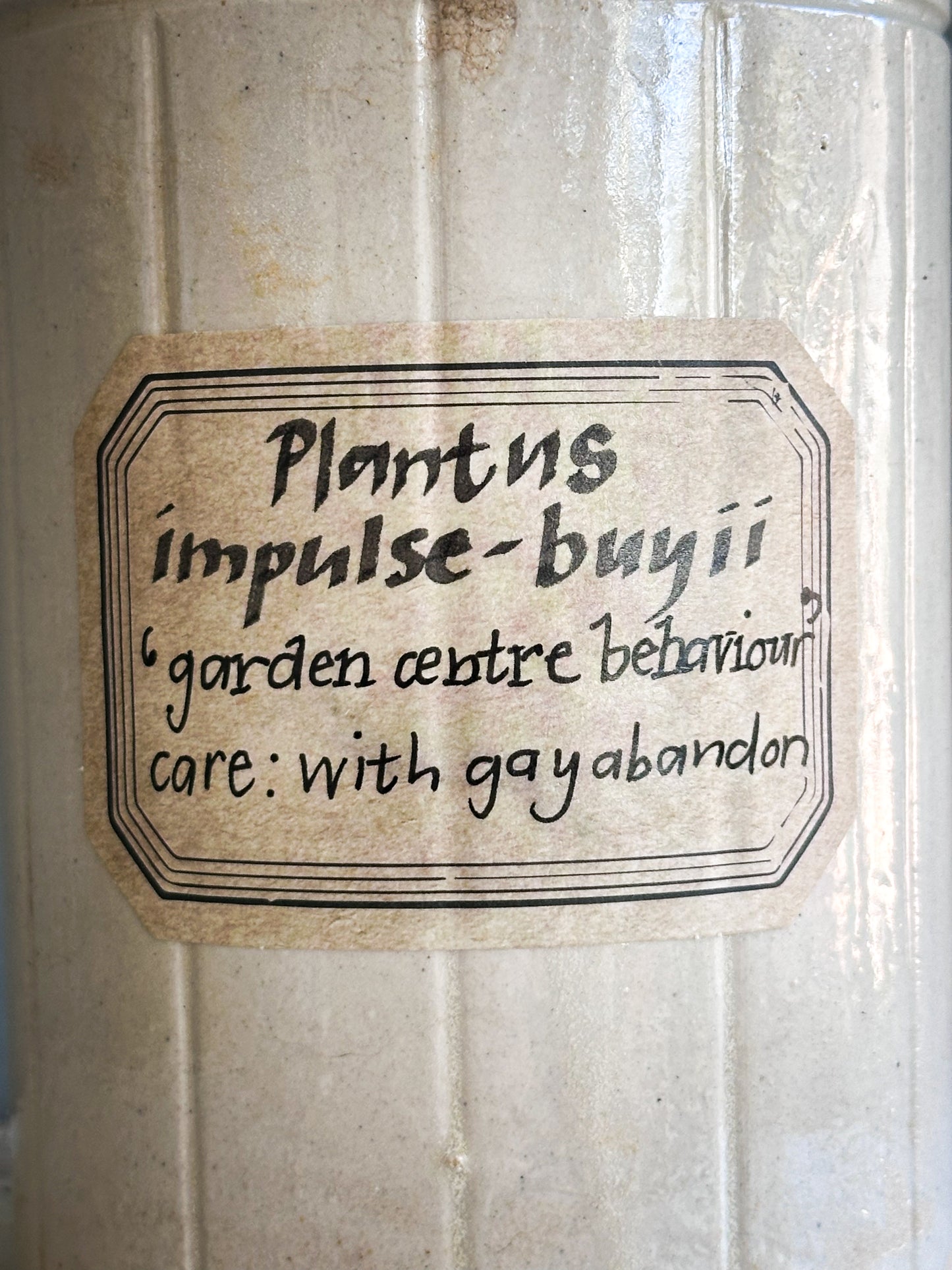 The Hopeful Gardener™ Specimen Pot