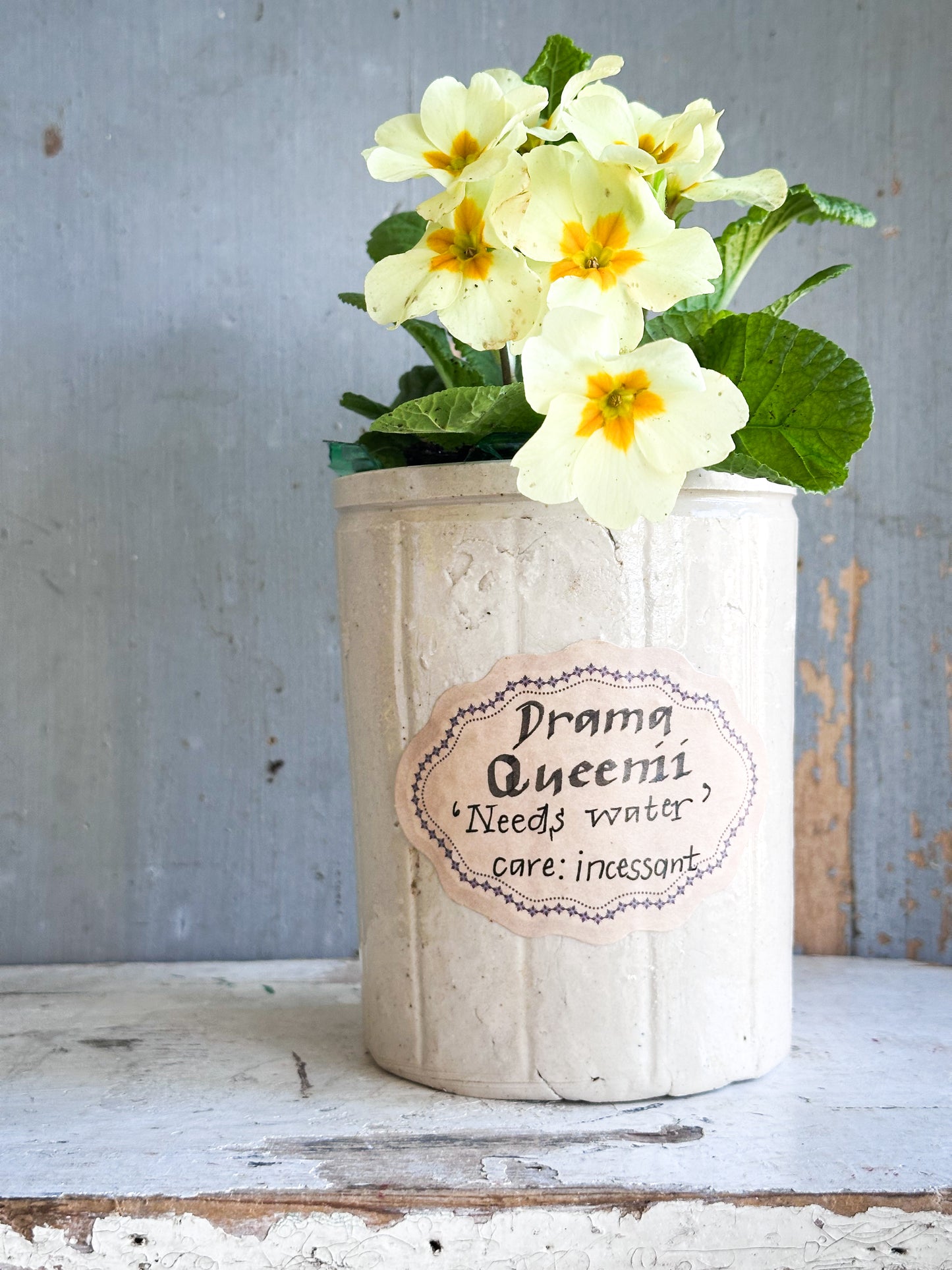 The Hopeful Gardener™ Specimen Pot