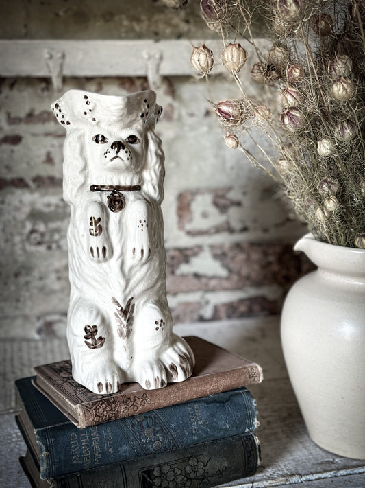 Antique Staffordshire Begging Spaniel in a Tricorn Hat Jug