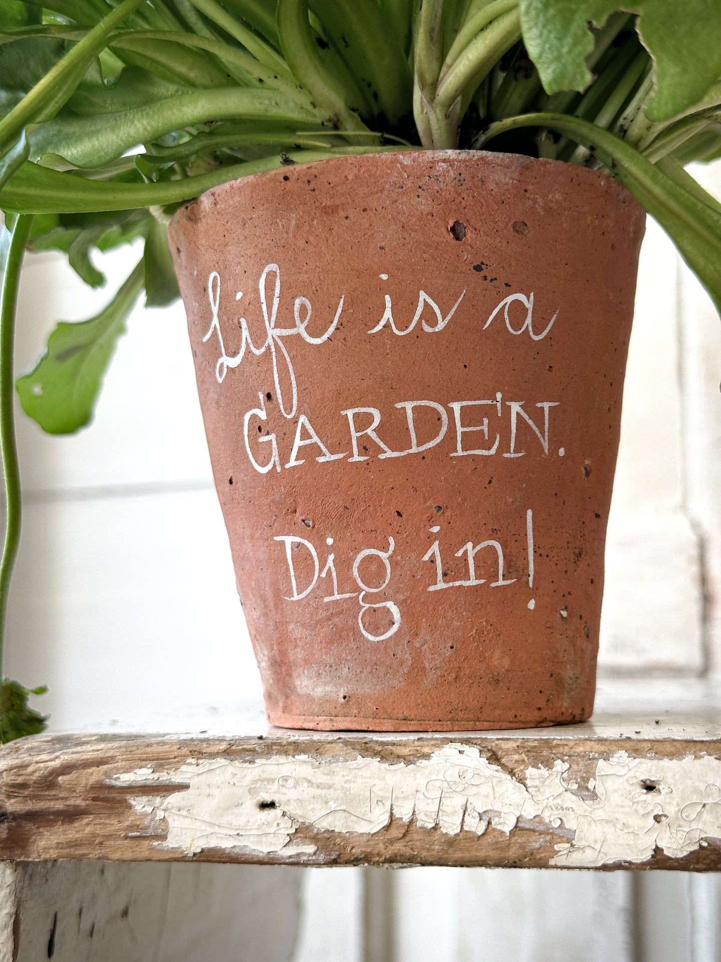 A Victorian terracotta pot with a quote “Life is a Garden”