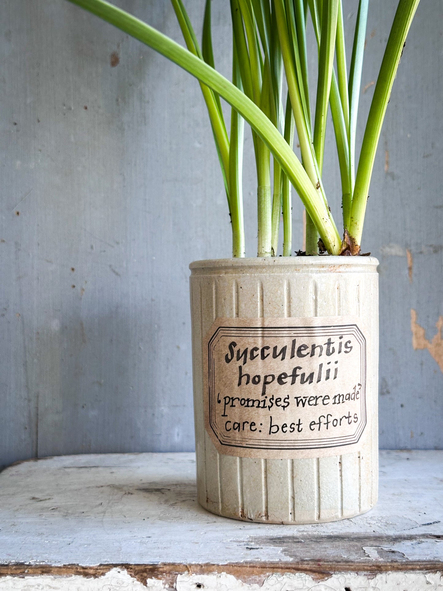 The Hopeful Gardener™ Specimen Pot