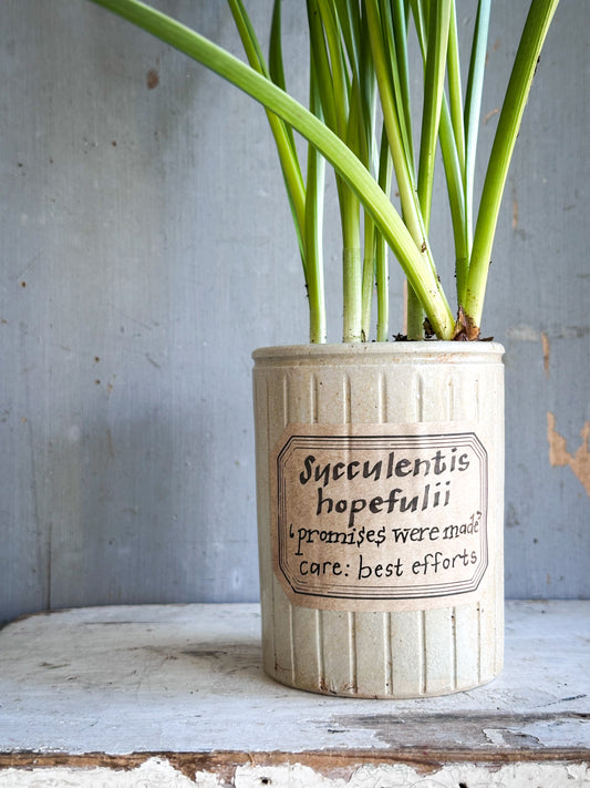 The Hopeful Gardener™ Specimen Pot