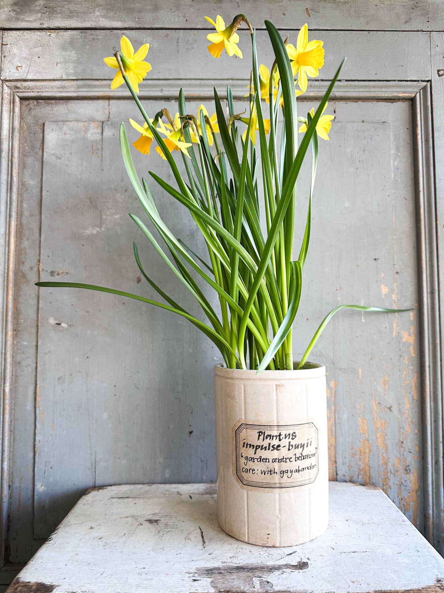 The Hopeful Gardener™ Specimen Pot