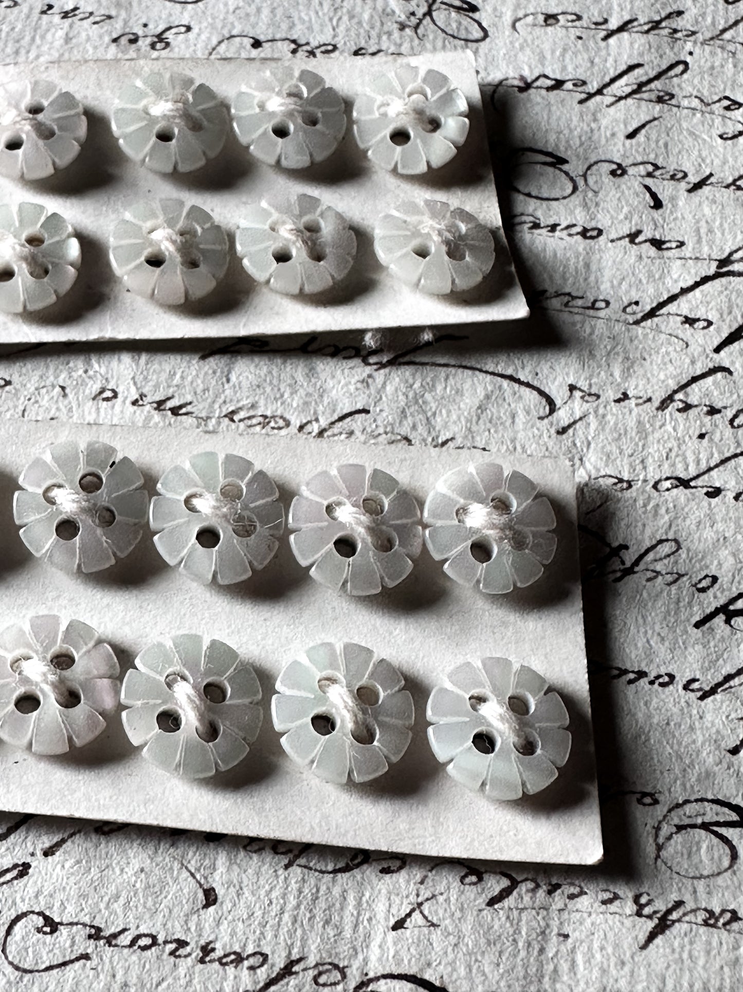 Victorian Mother of Pearl Flower Buttons – Deadstock Set of 10