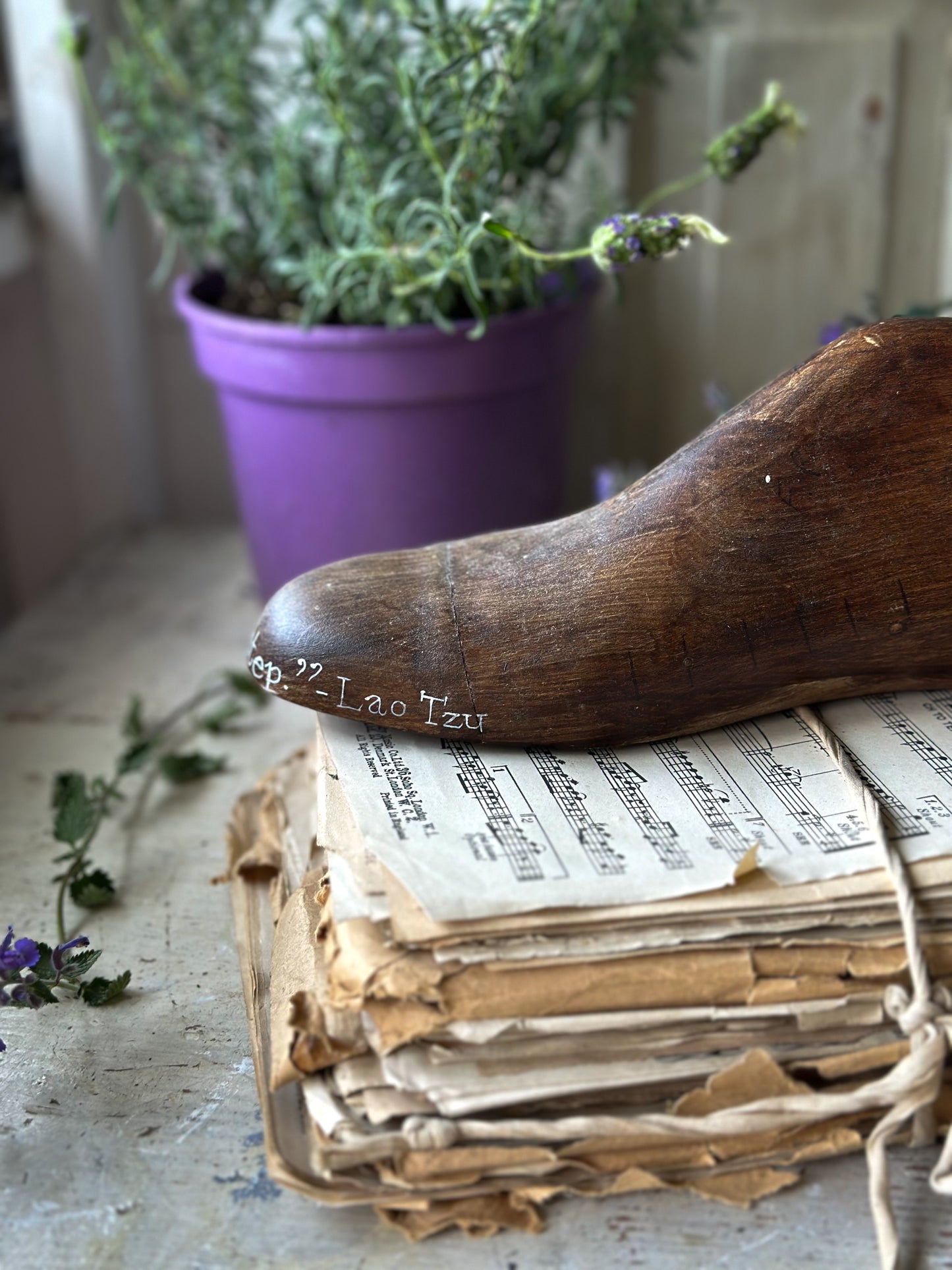 An antique wooden painted adult’s shoe last.